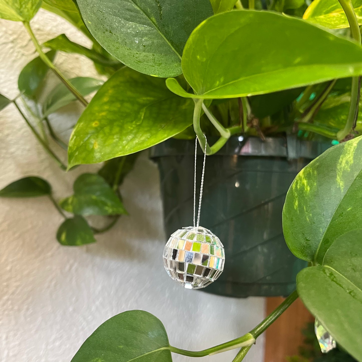 Disco Ball Plant Accessory
