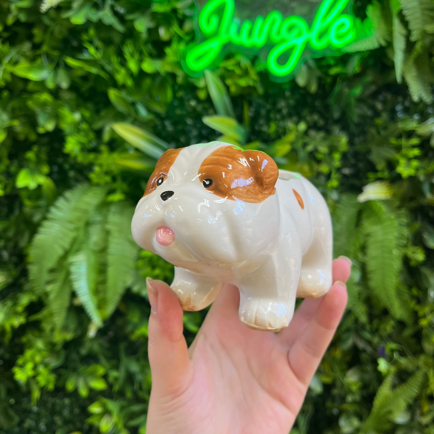 Mini Bulldog Pot