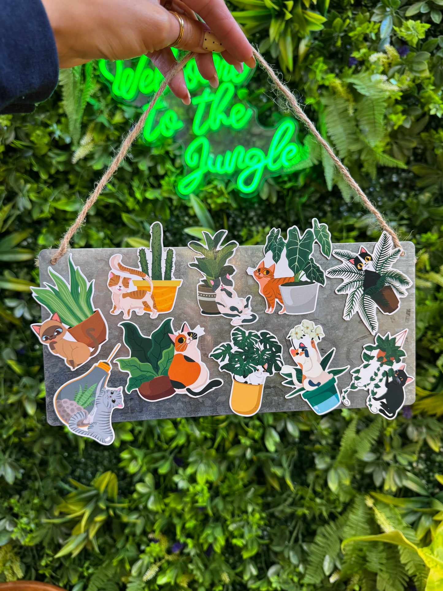 Assorted Refrigerator Cat Plant Magnet