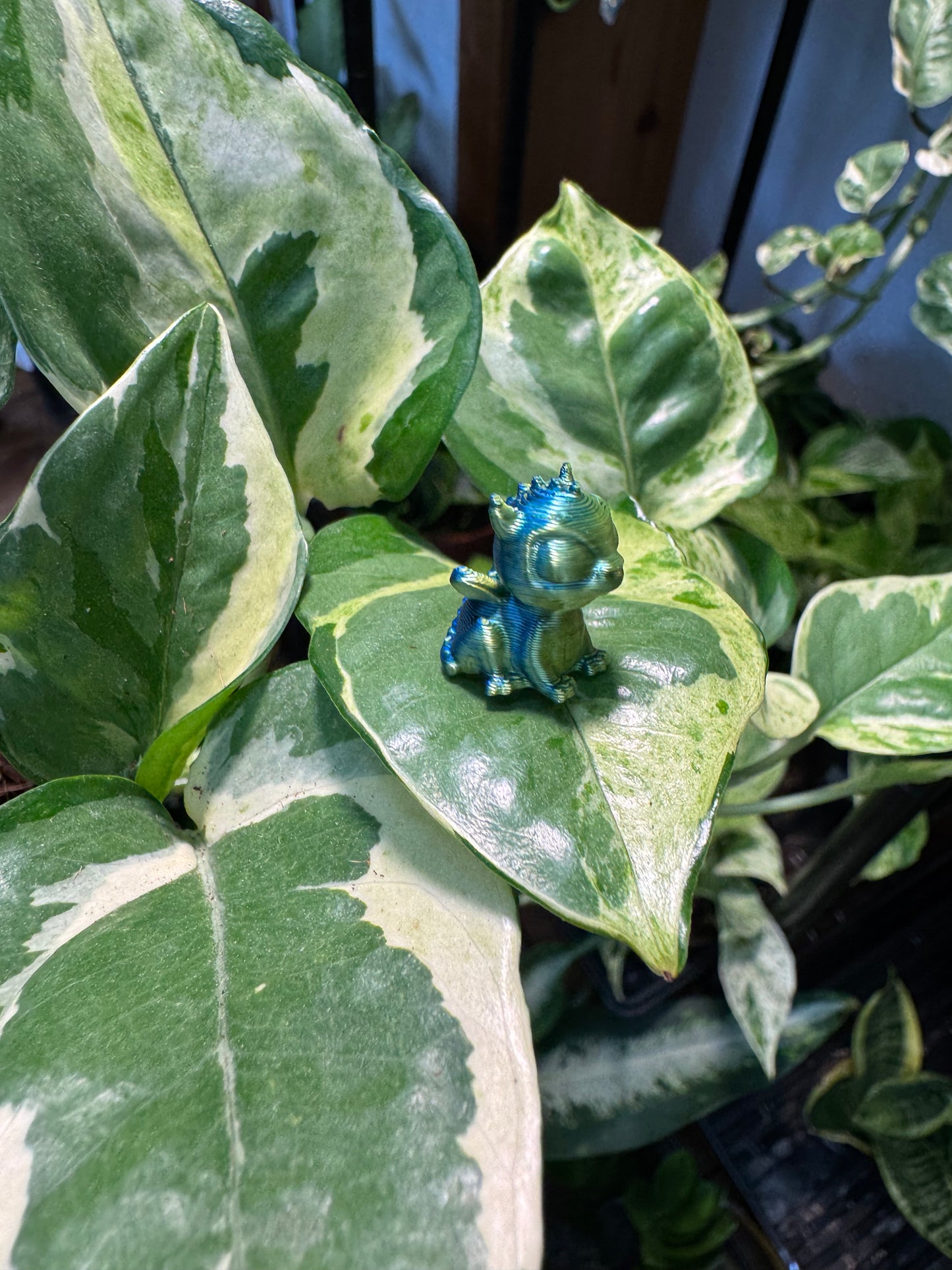 3D Dragon Plant Magnet - Assorted Colors
