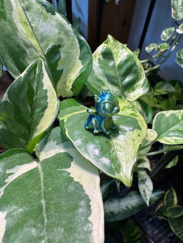 3D Dragon Plant Magnet - Assorted Colors