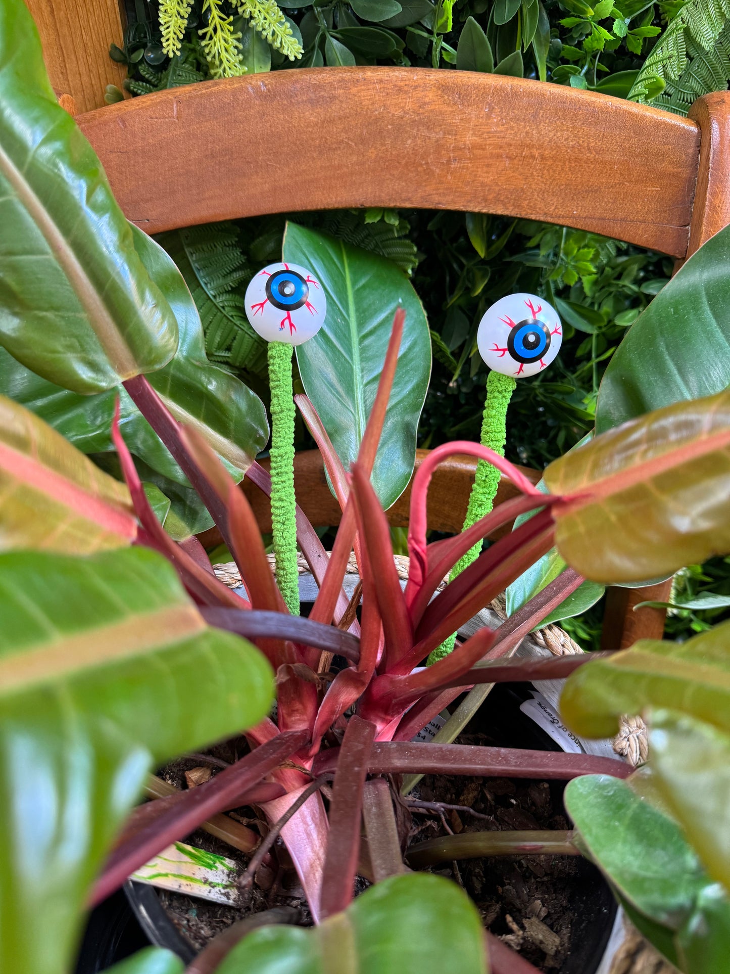 Eyeball Plant Stakes