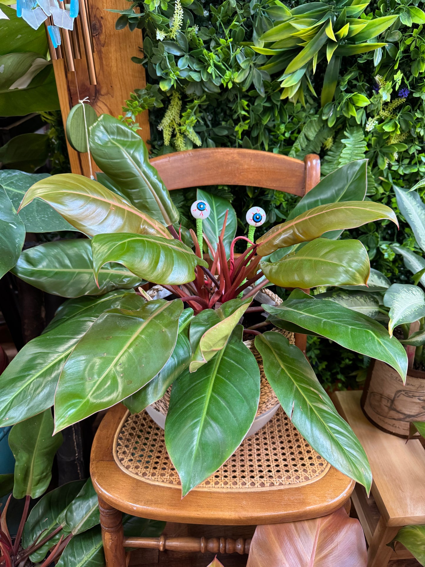Eyeball Plant Stakes