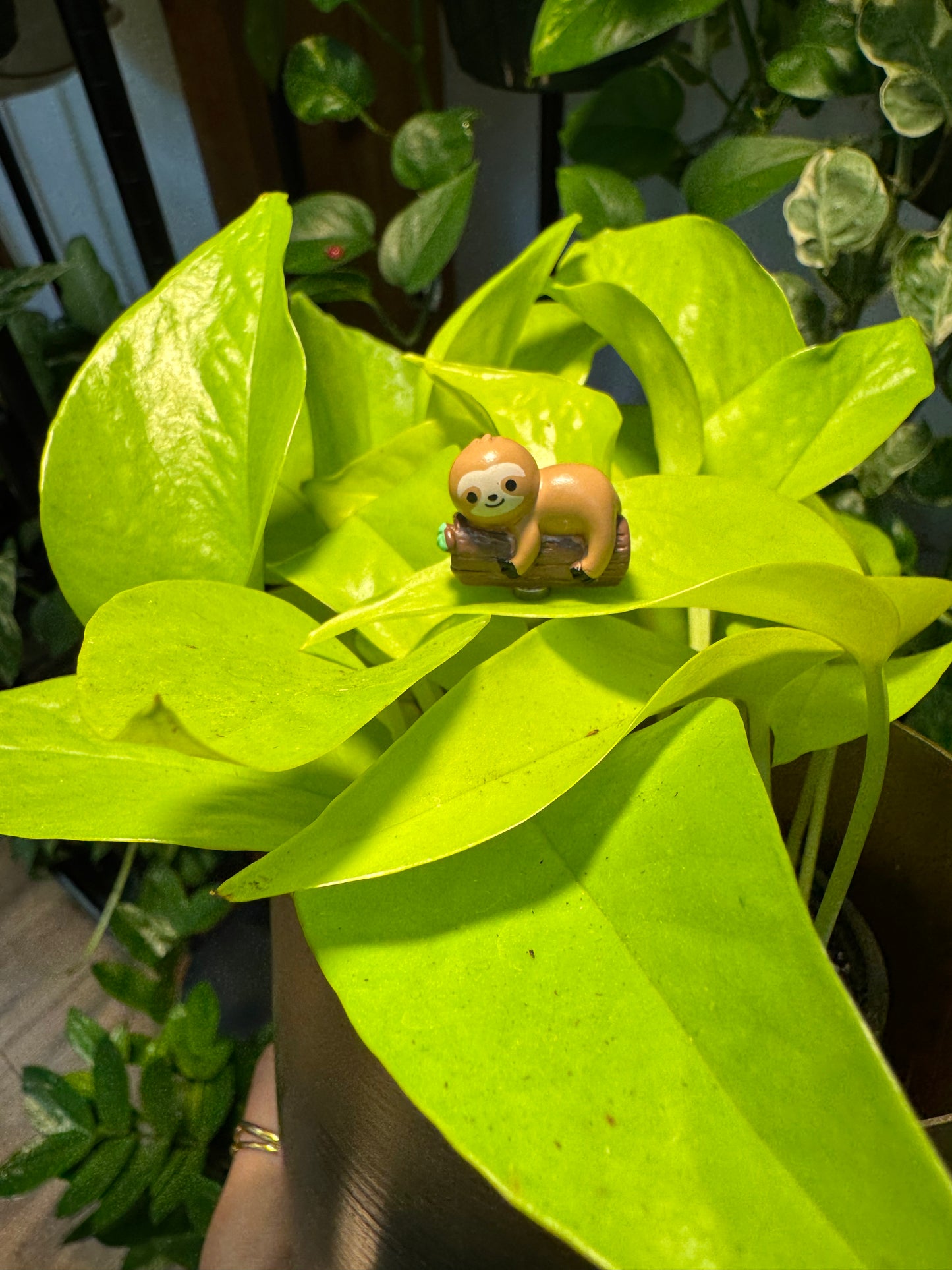 Mini Sloth on a Log Plant Magnet