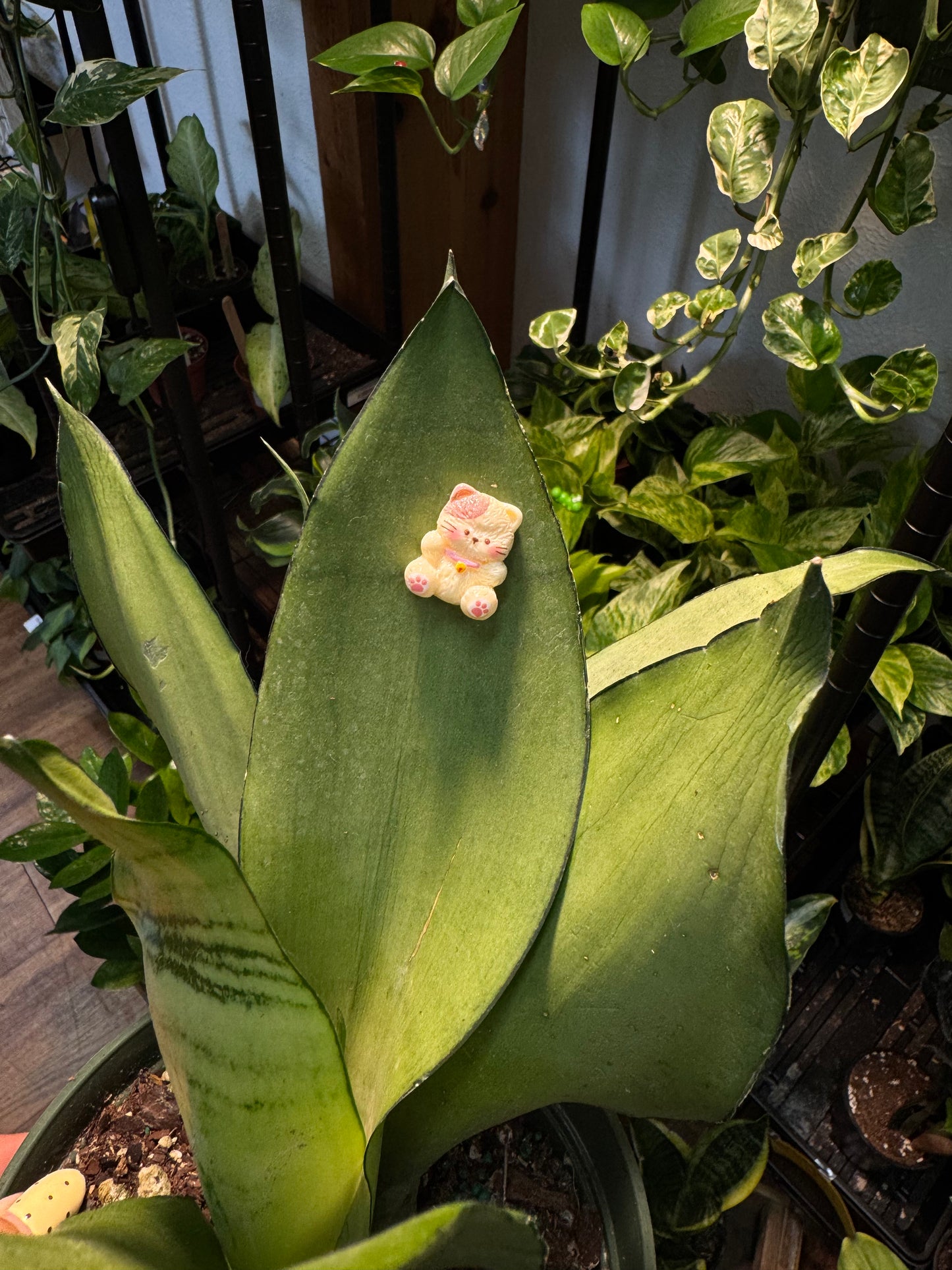 Cutesy Stuffed Animal Plant Magnet