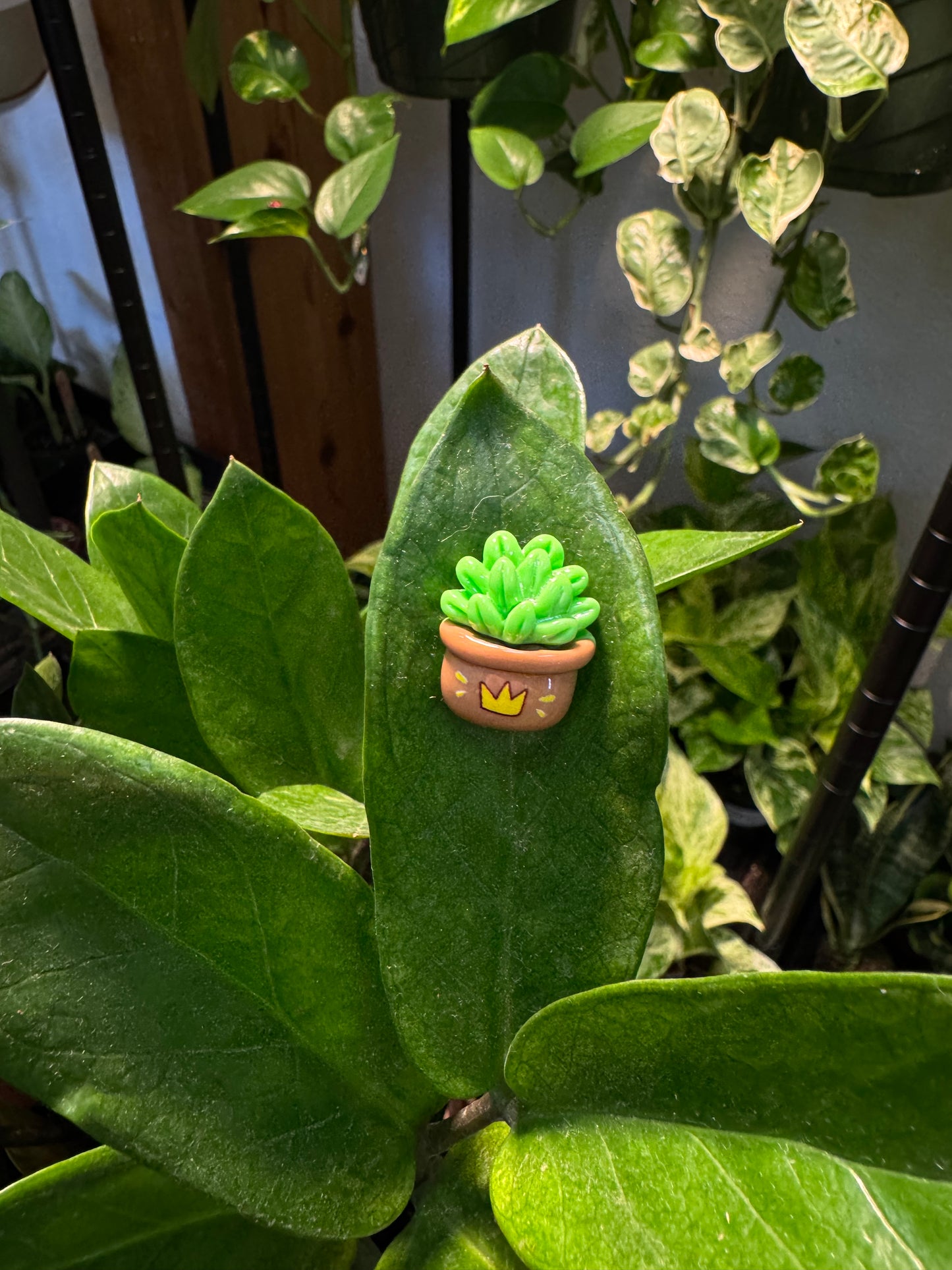 Cheery Plant Pot Plant Magnet - Assorted
