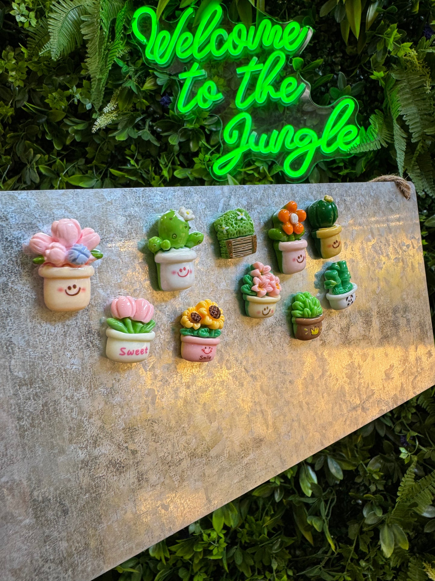 Cheery Plant Pot Plant Magnet - Assorted