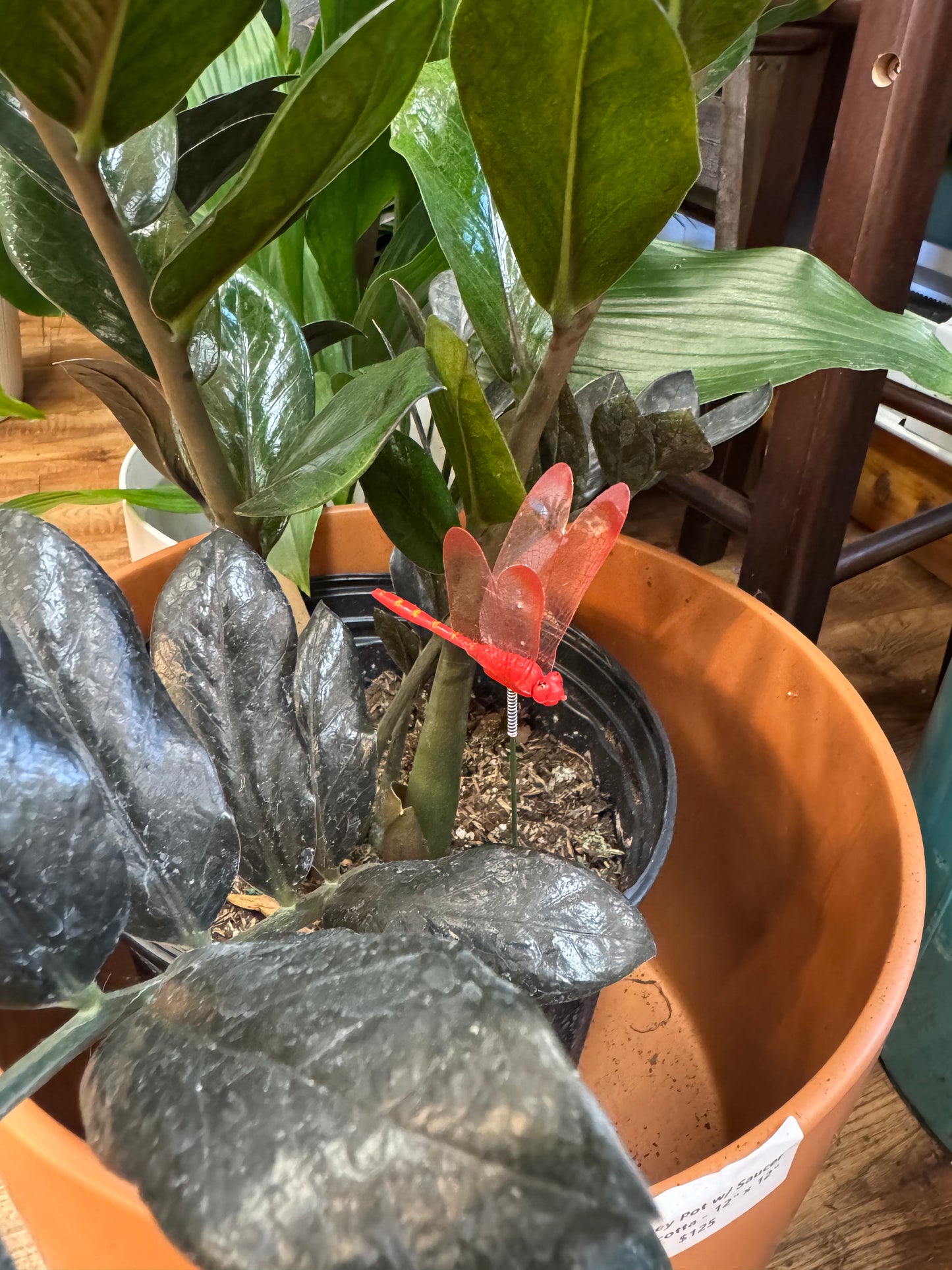 Dragonfly Plant Stake