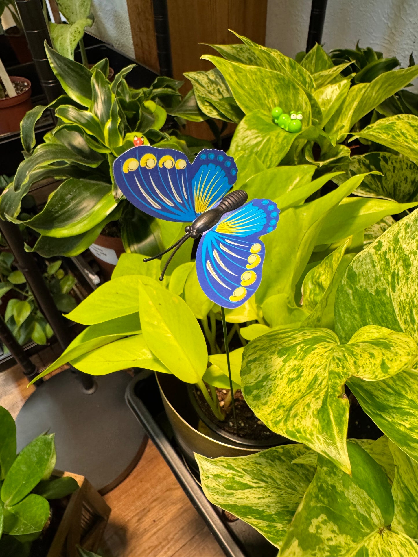 Butterfly Plant Stake