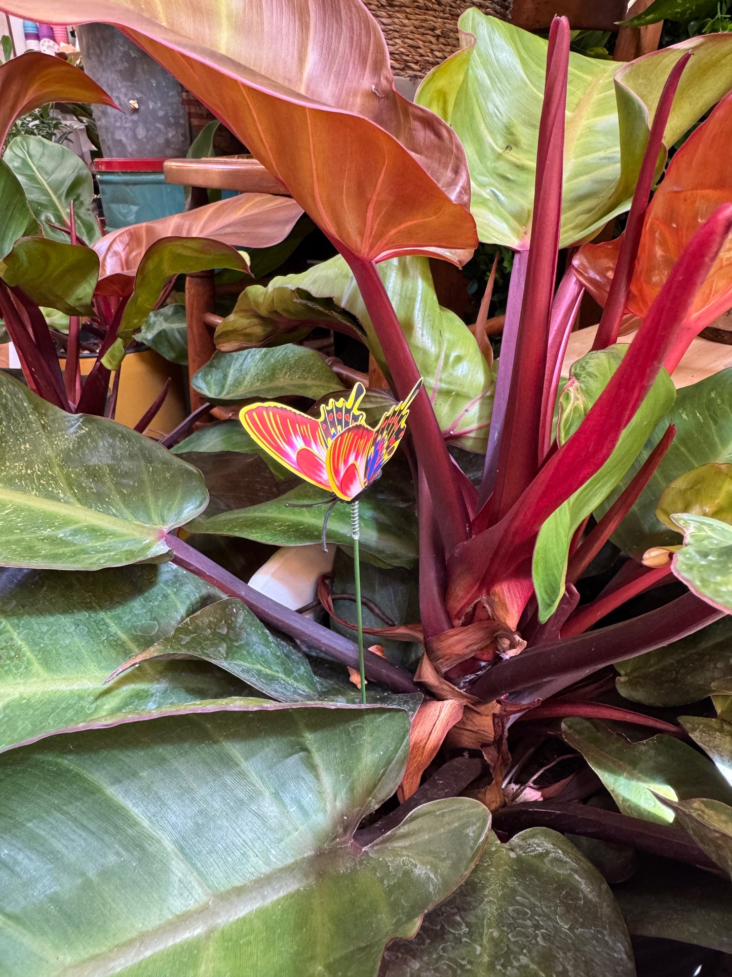 Butterfly Plant Stake