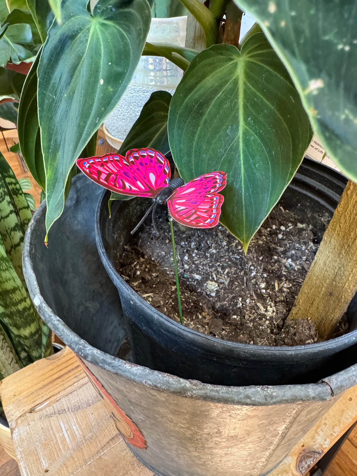 Butterfly Plant Stake