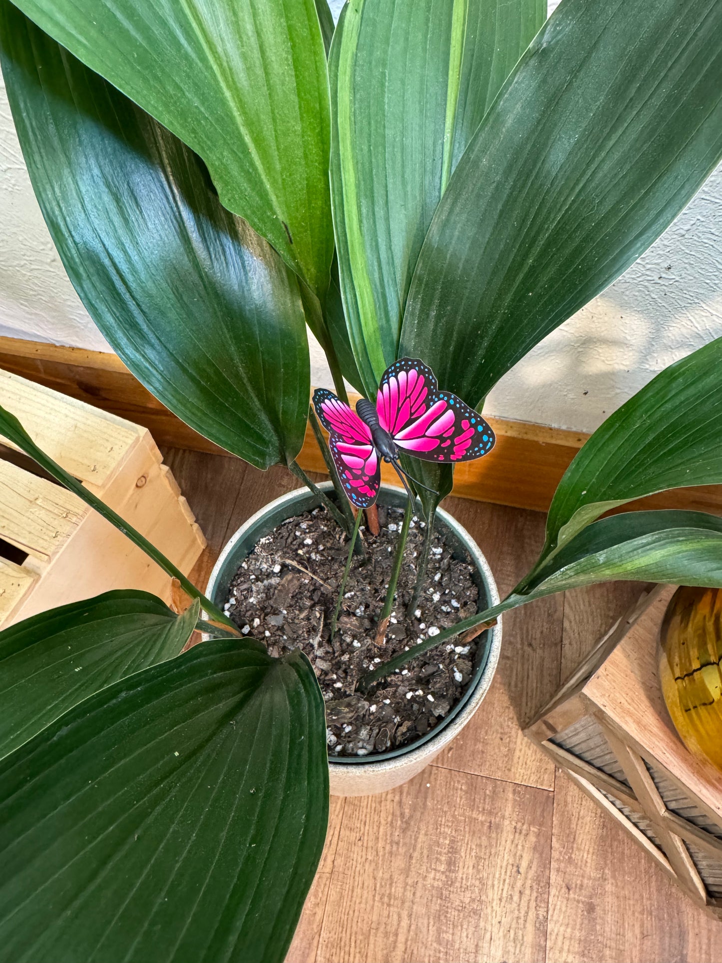 Butterfly Plant Stake
