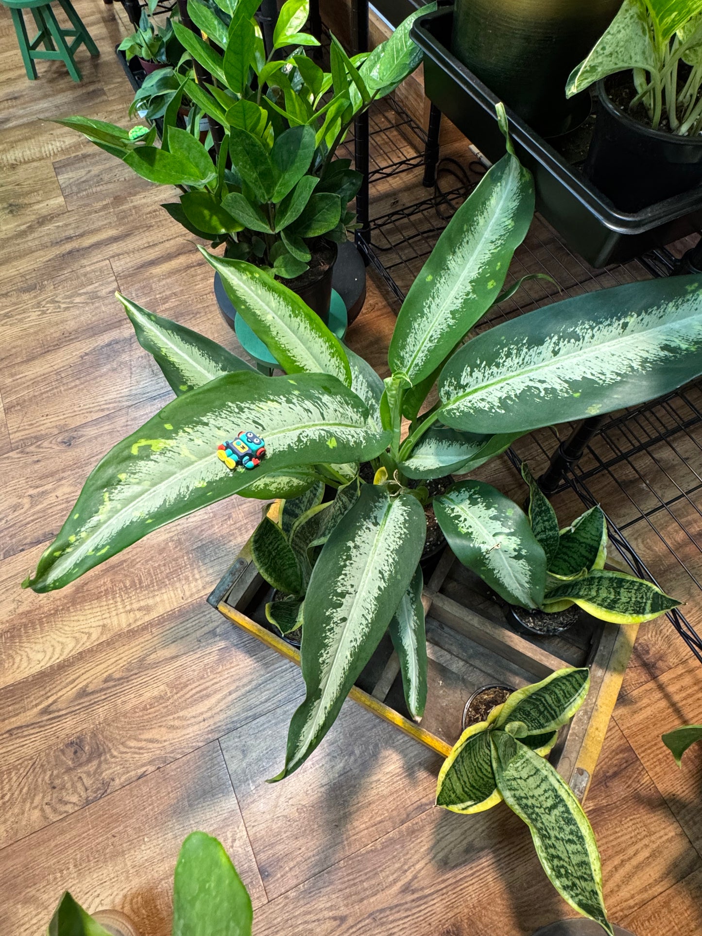 Happy Robot Plant Magnet