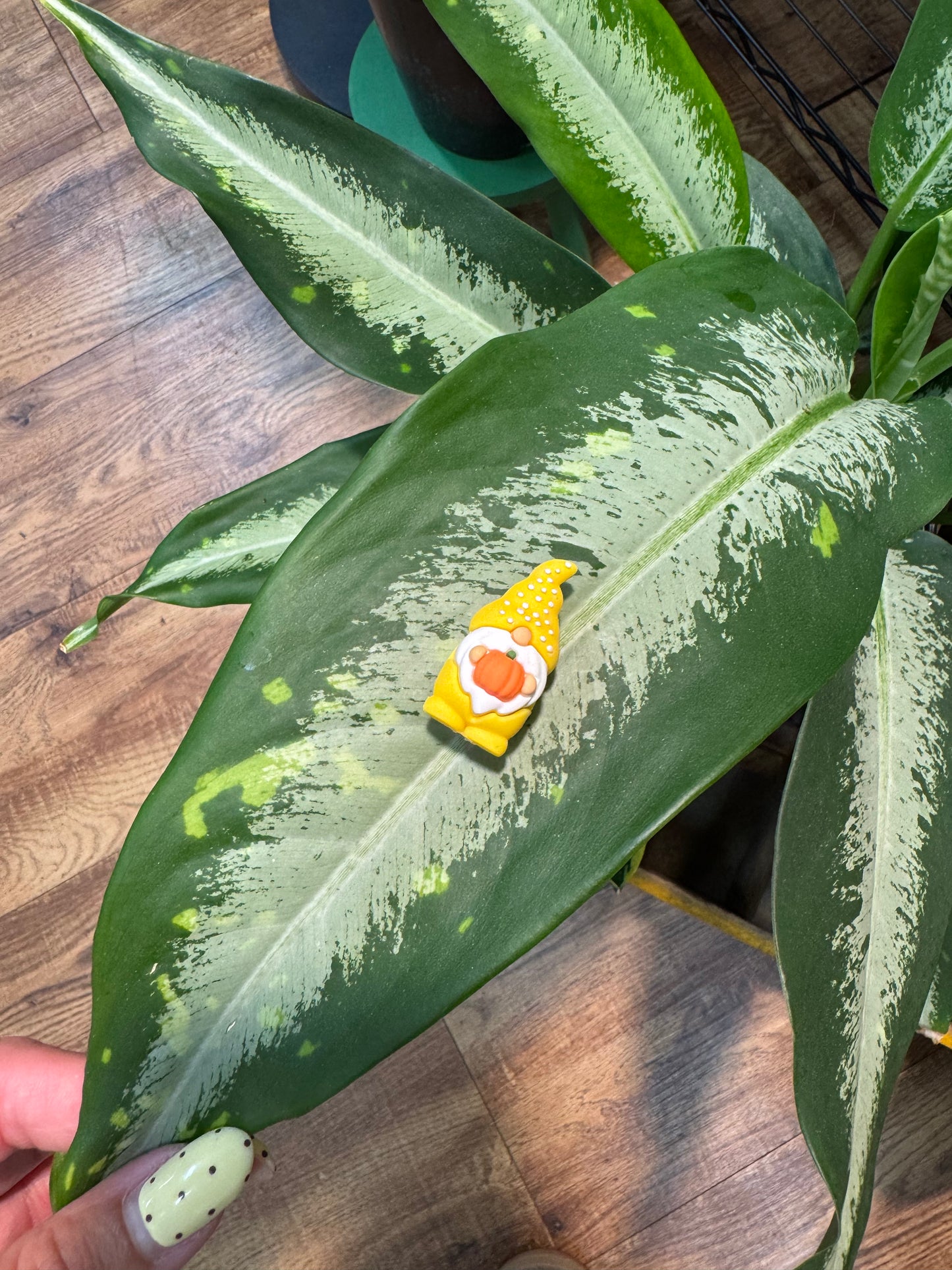 Autumn/Fall Pumpkin Gnome Plant Magnet