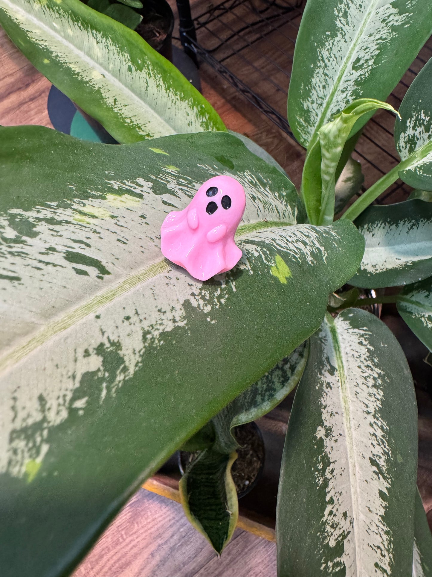 Pastel Mini Ghost Plant Magnet
