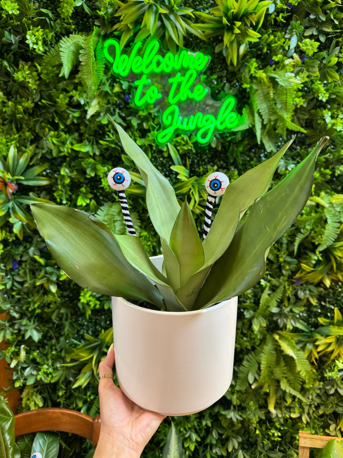 Eyeball Plant Stakes