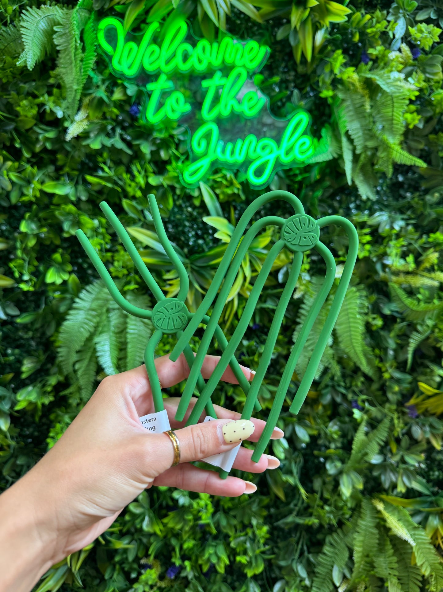 Monstera Bonding Stem Supports