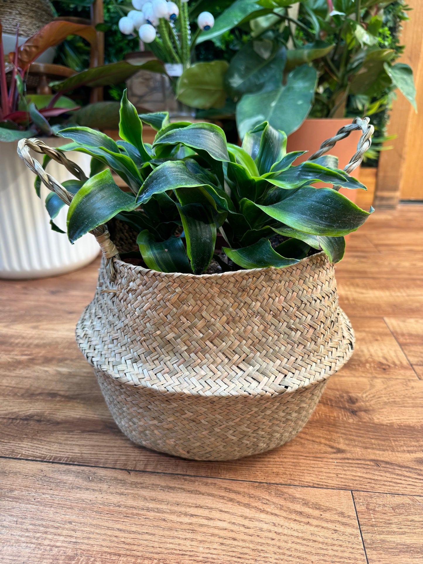 Medium Woven Seagrass Basket 8.7" Opening