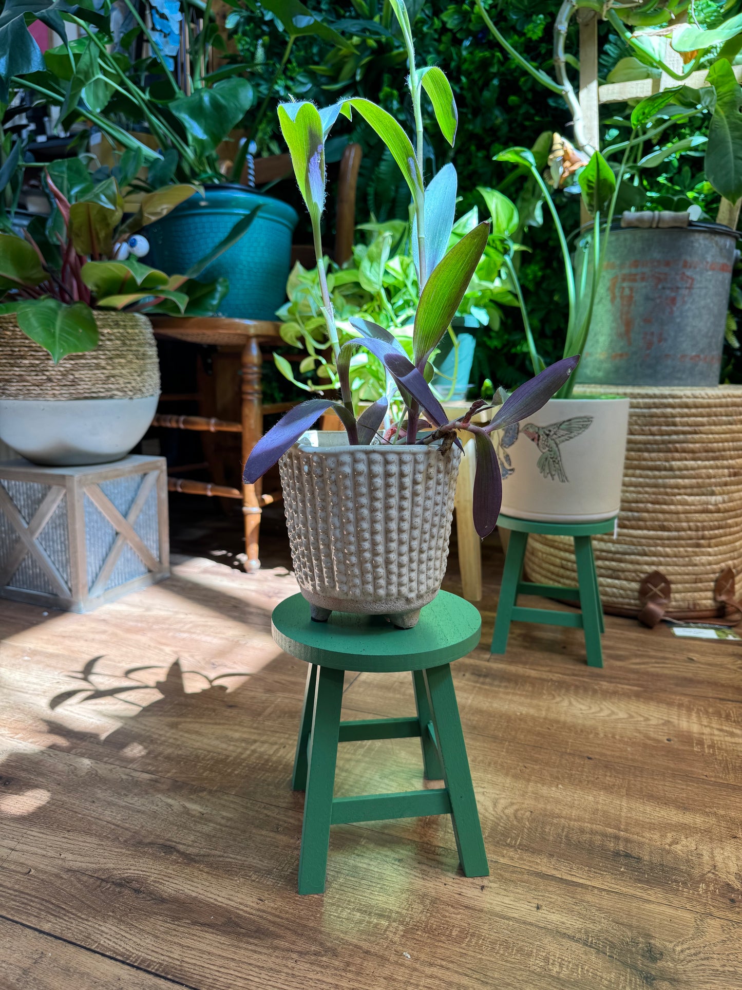 Mini Stool Plant Stand