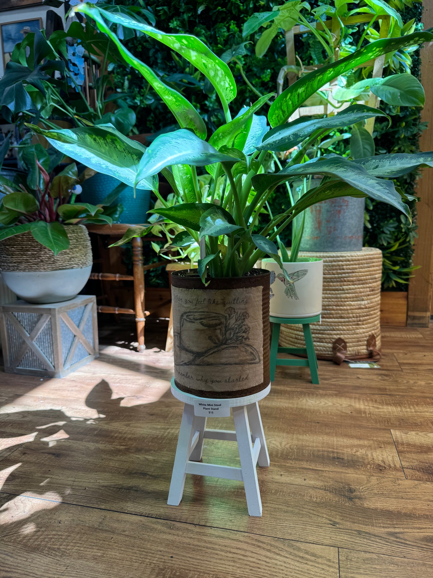 Mini Stool Plant Stand