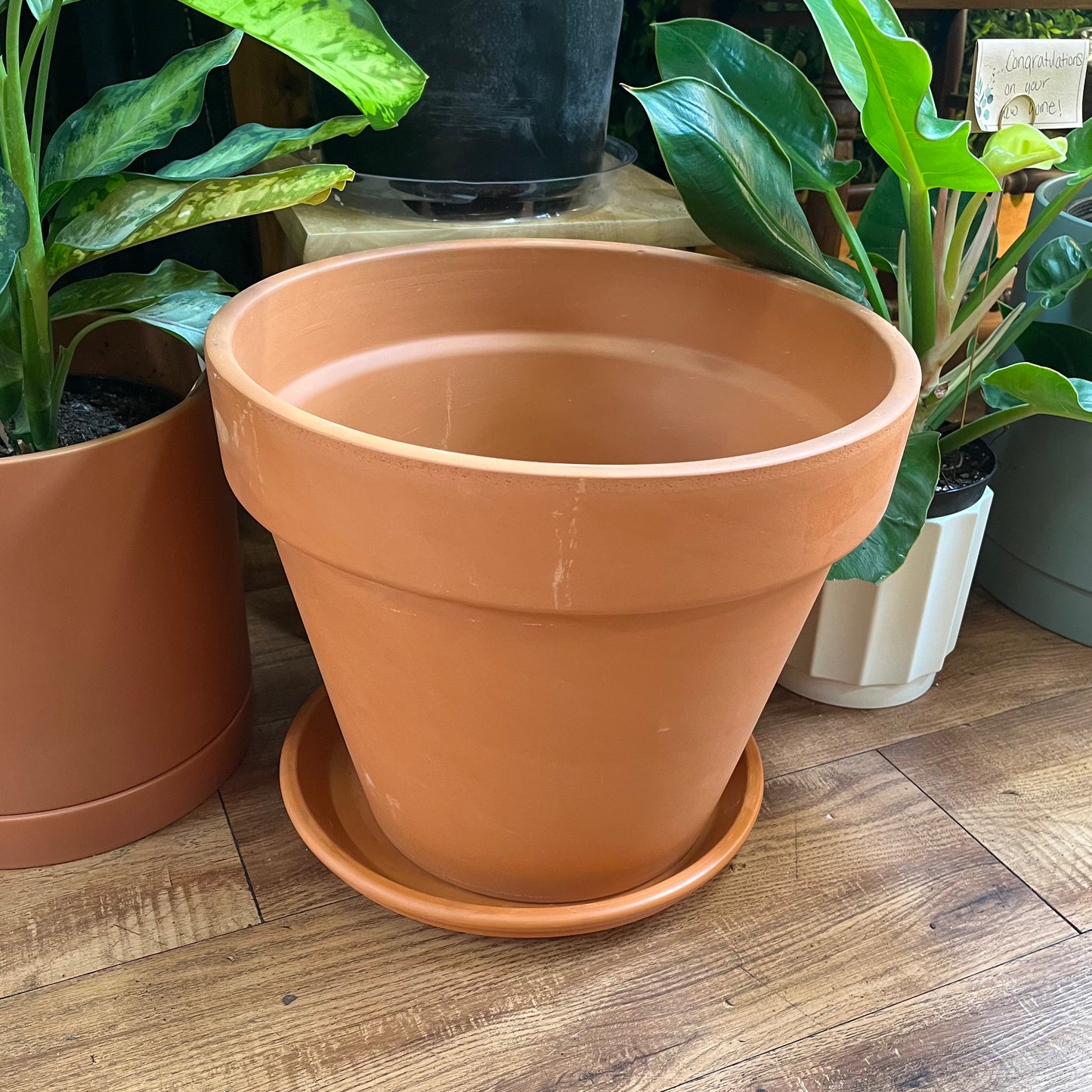 14" Terracotta Pot with Saucer