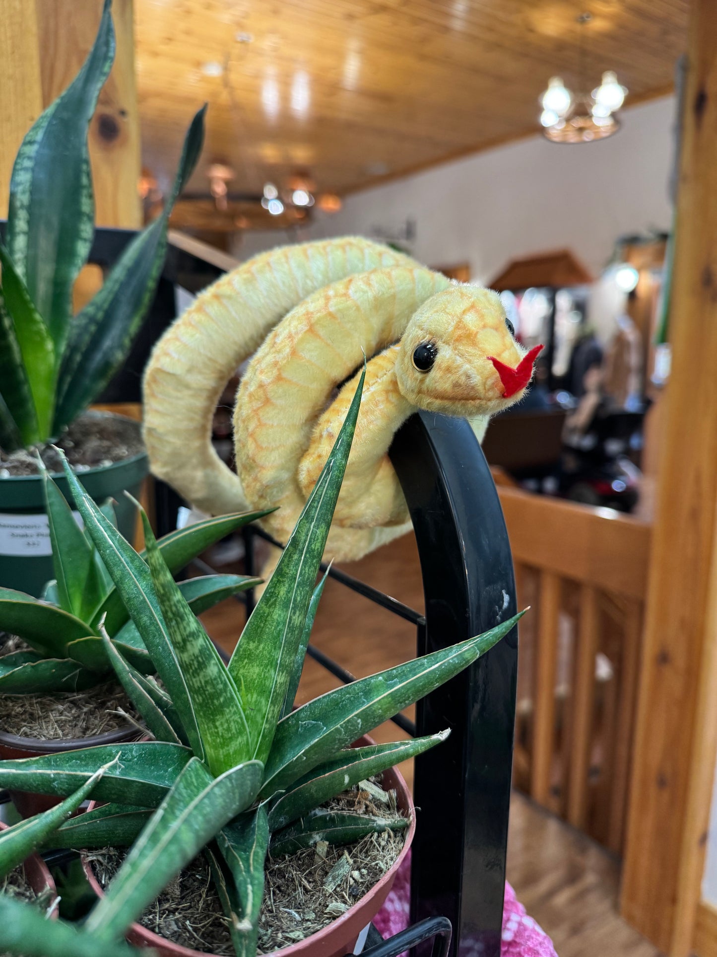 31.5" Large Snake Stuffed Animal - Assorted Colors