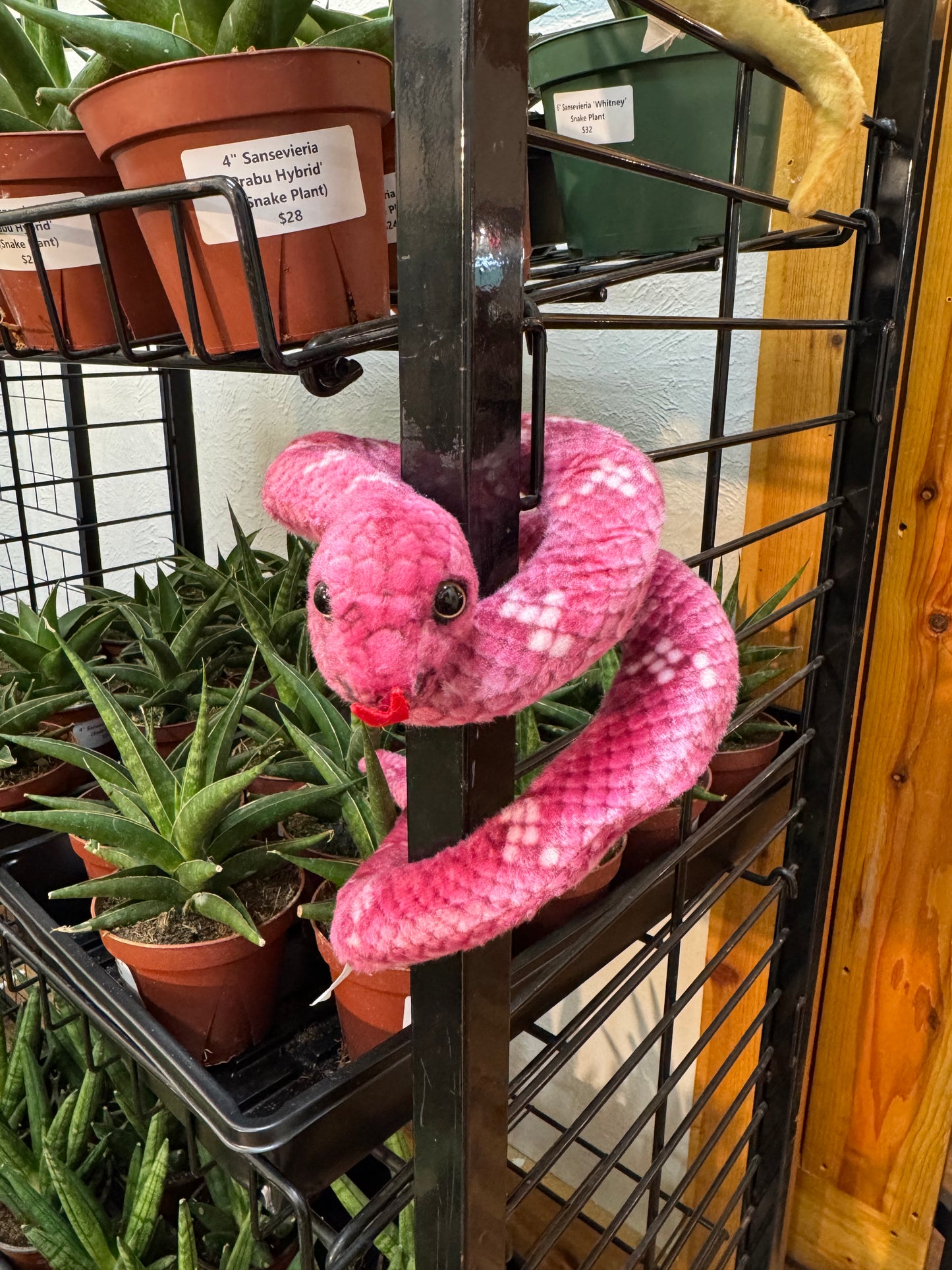 31.5" Large Snake Stuffed Animal - Assorted Colors
