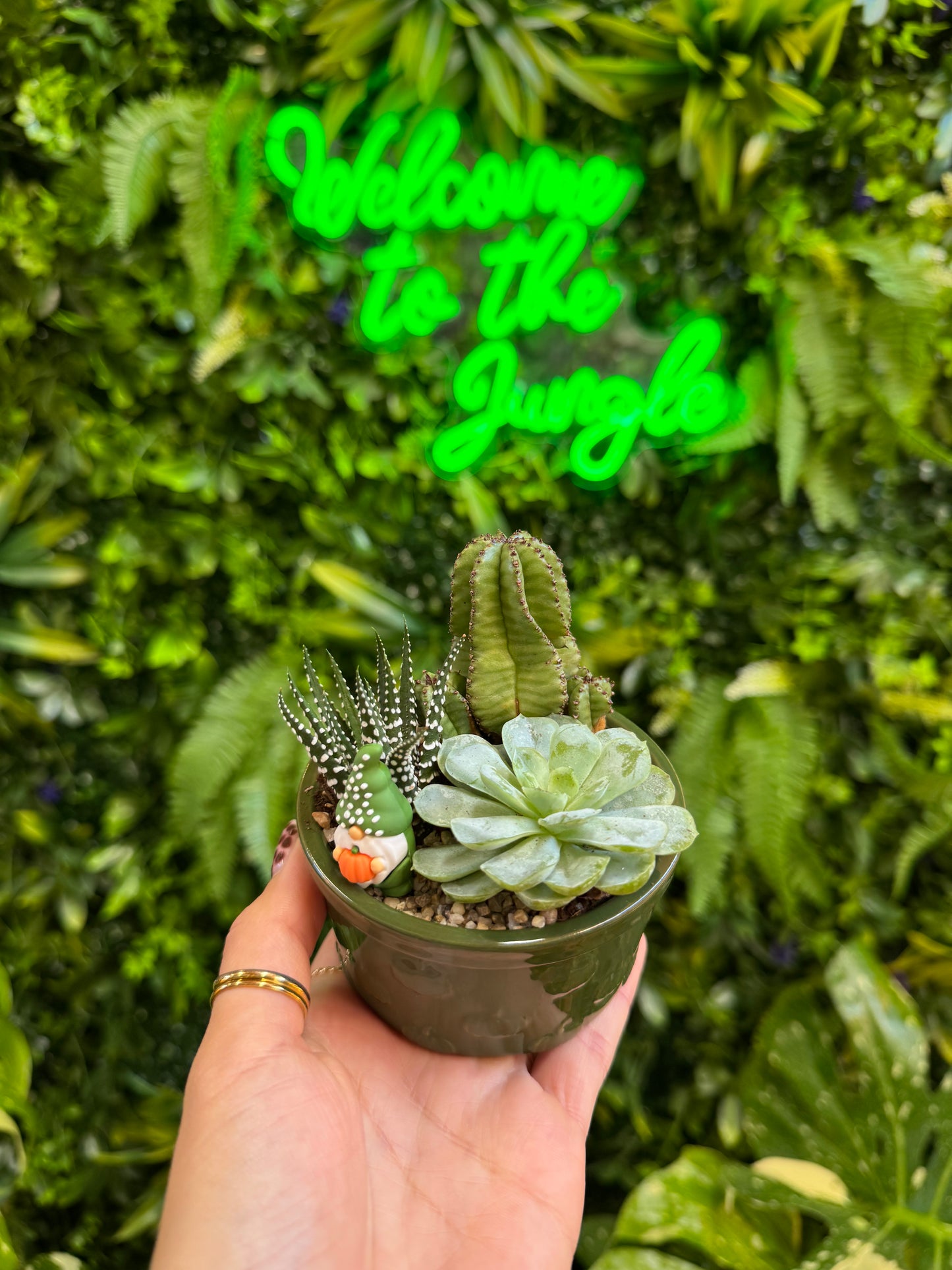 Styled Ramekin Assortment Planter with 3 Succulent/Cactus