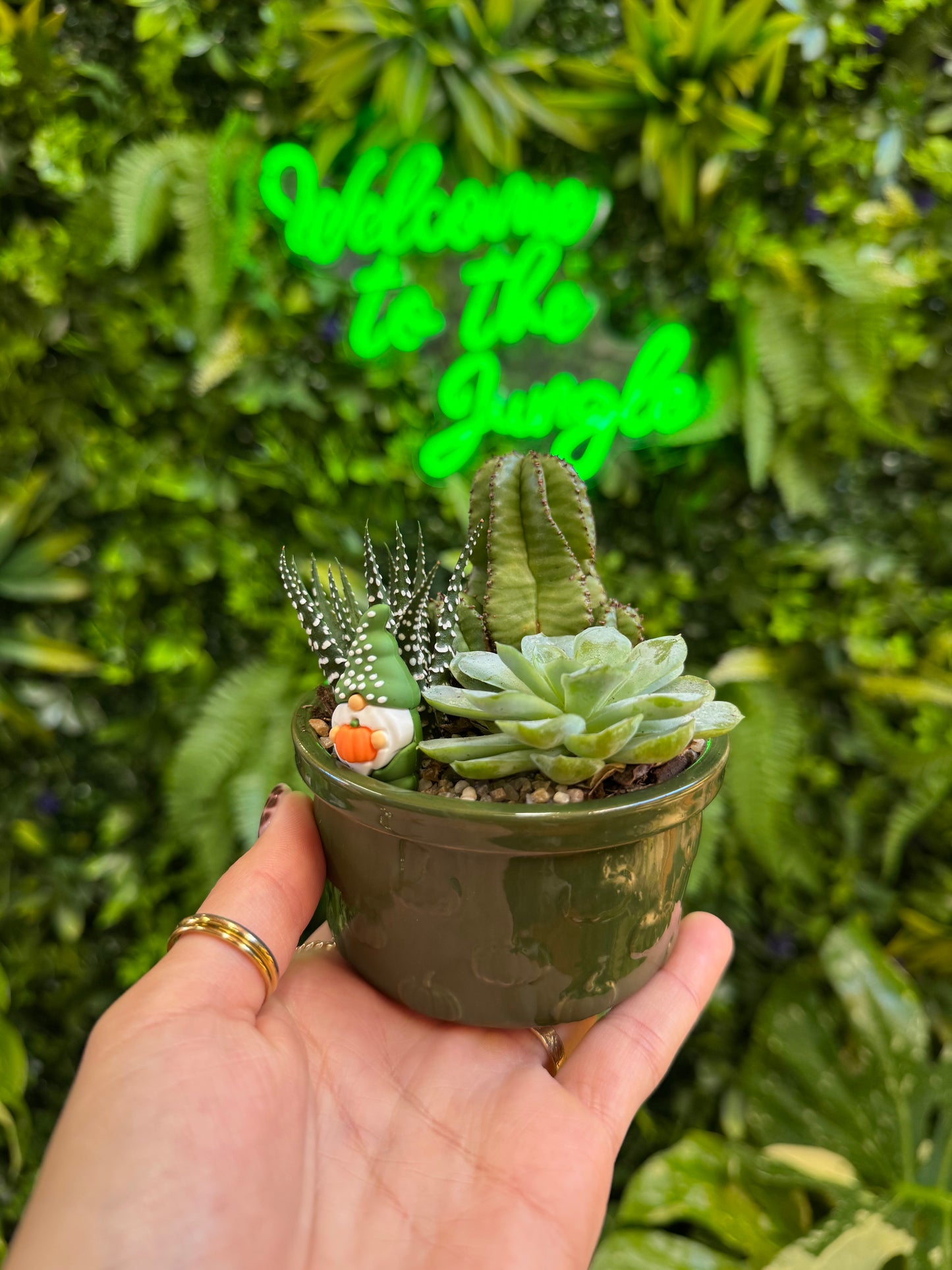 3" Ramekin Dish Planter