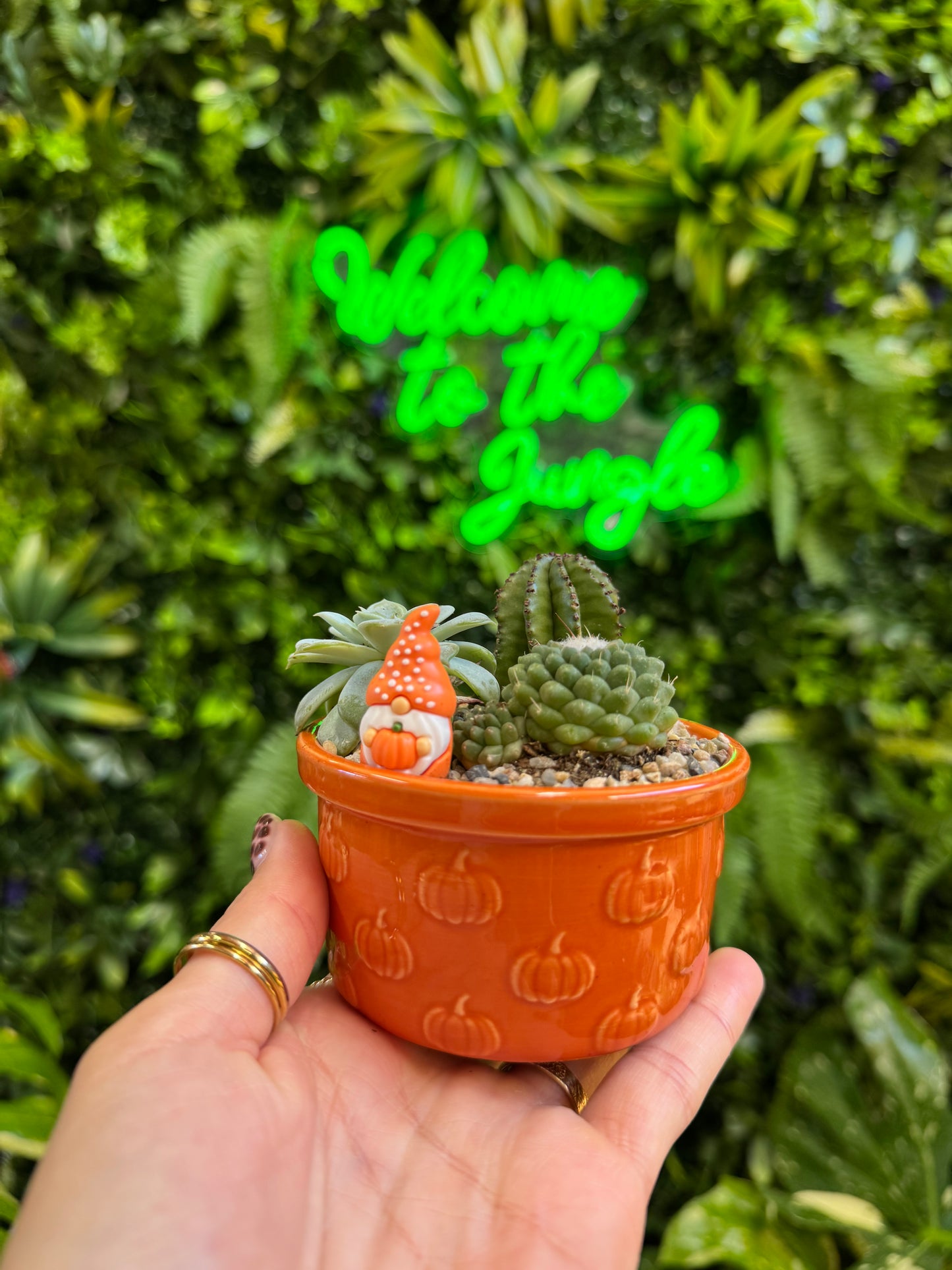 Styled Ramekin Assortment Planter with 3 Succulent/Cactus