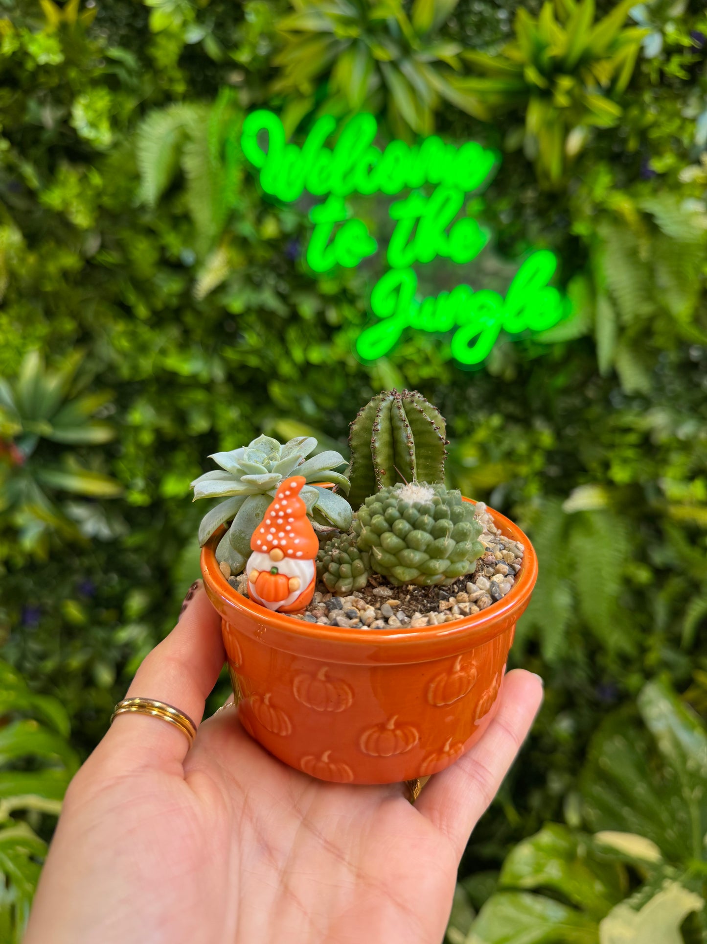 Styled Ramekin Assortment Planter with 3 Succulent/Cactus