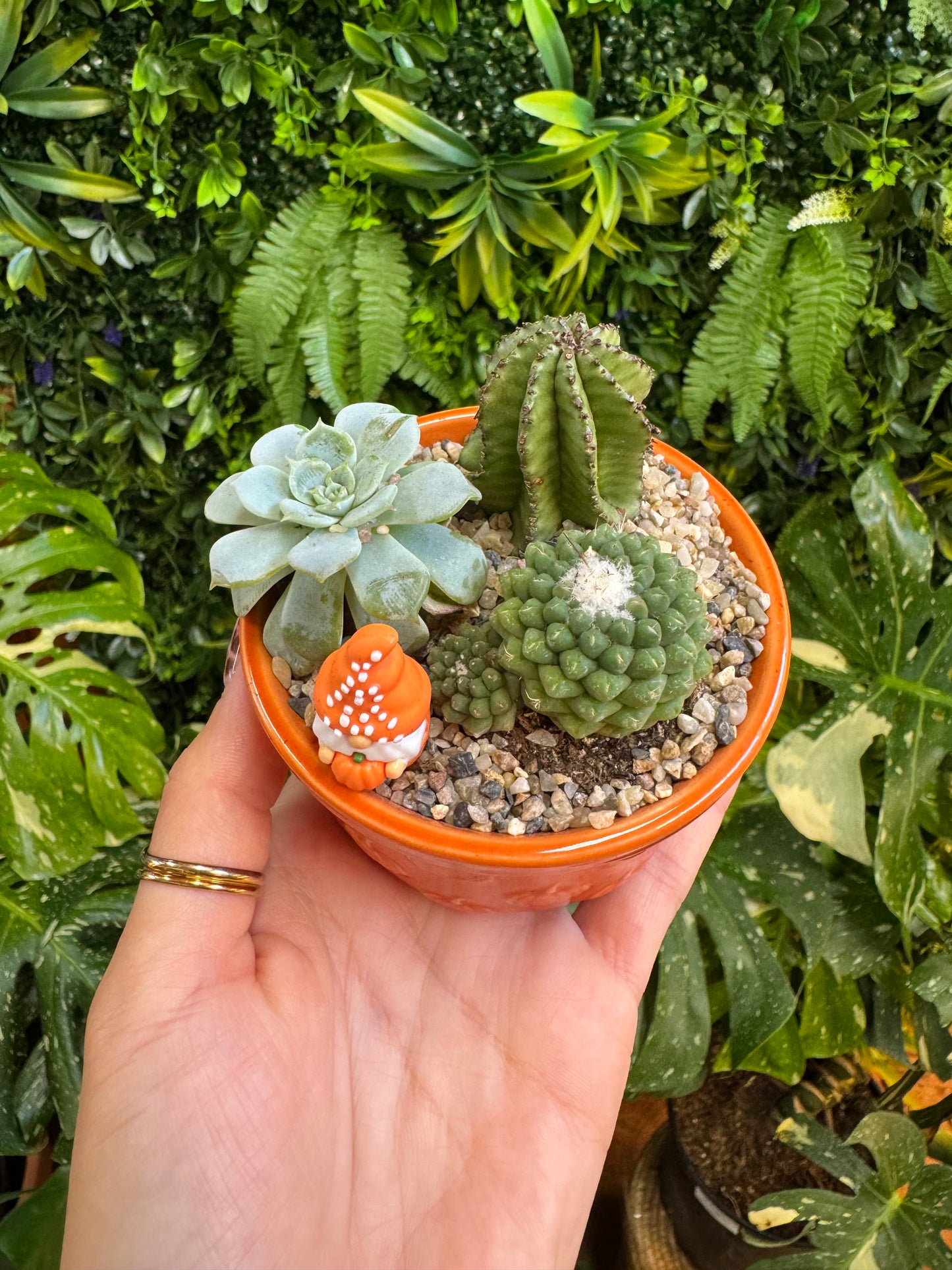 Styled Ramekin Assortment Planter with 3 Succulent/Cactus