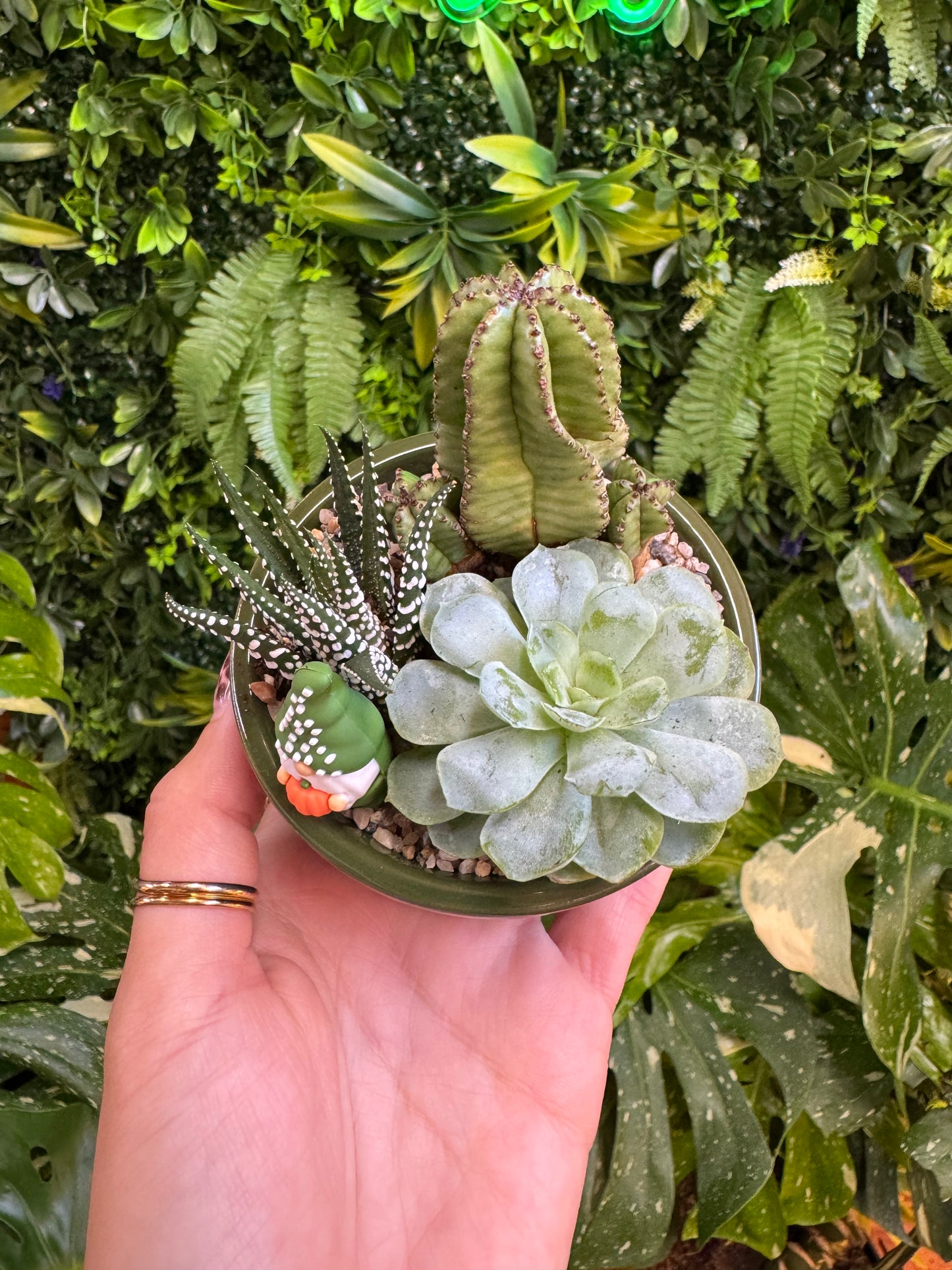 Styled Ramekin Assortment Planter with 3 Succulent/Cactus