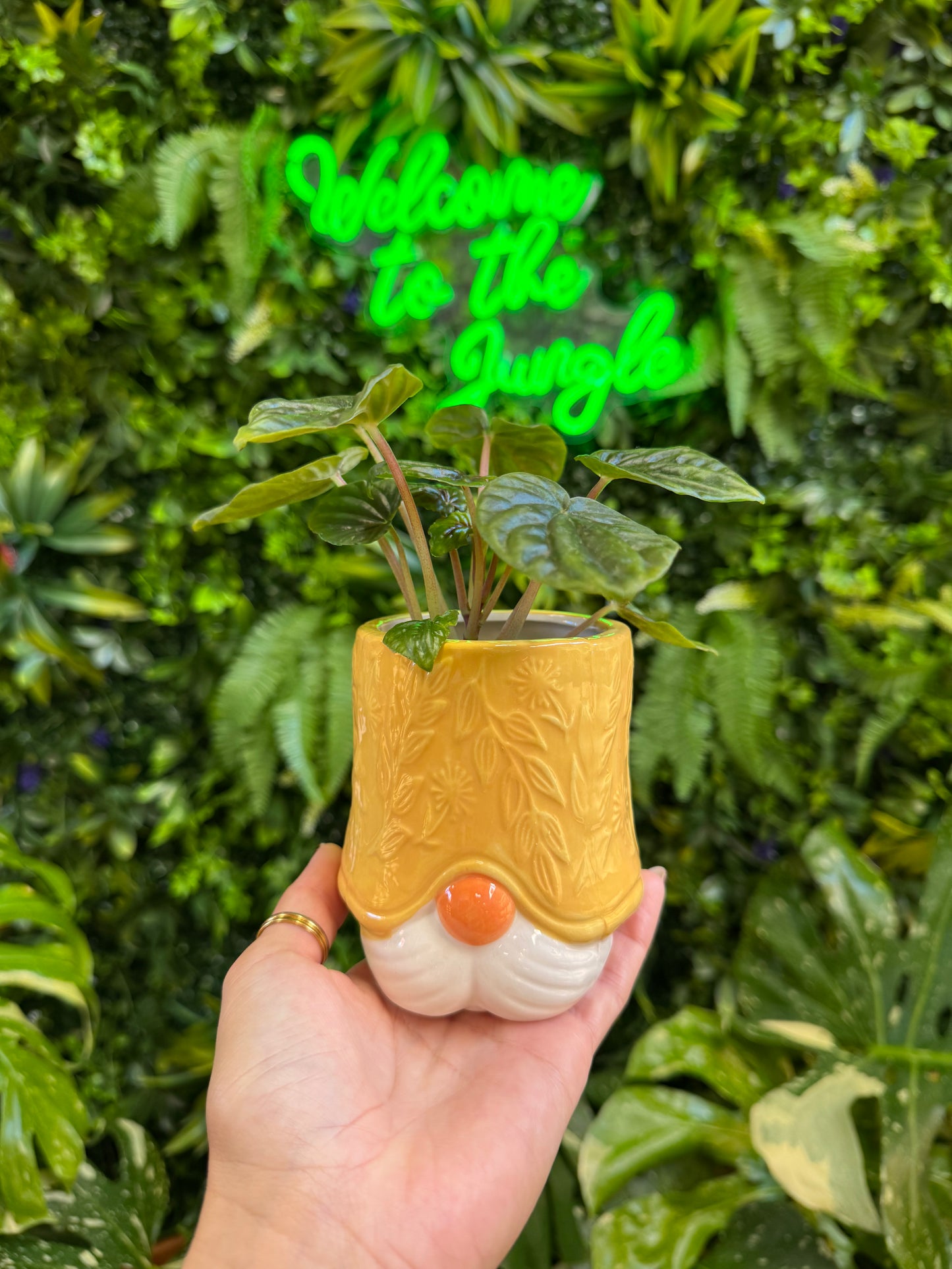 3" Yellow Gnome Planter