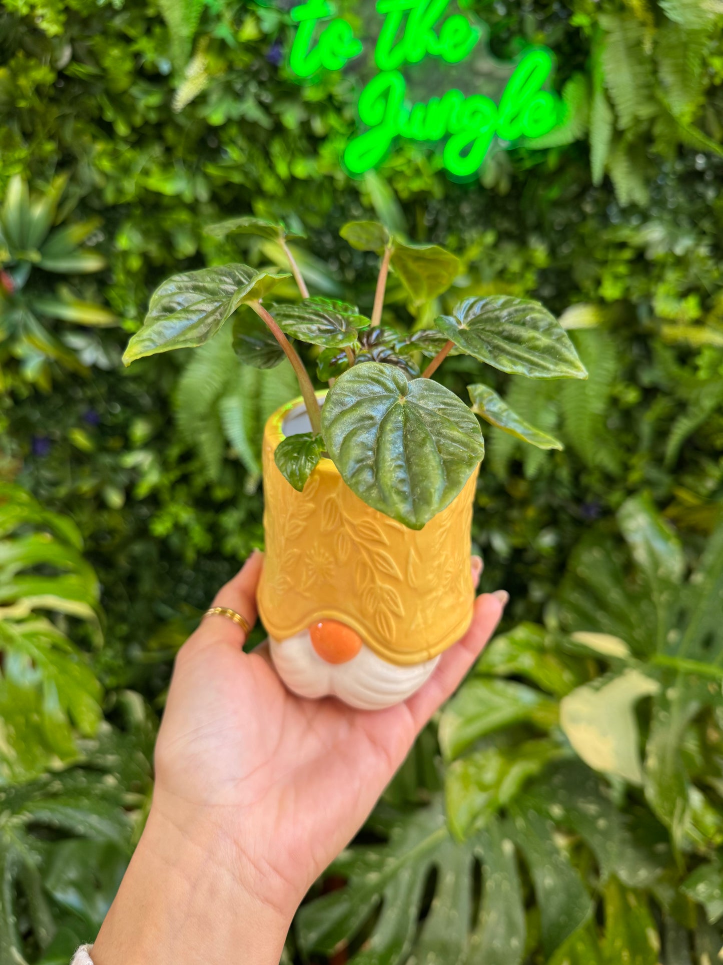 3" Yellow Gnome Planter