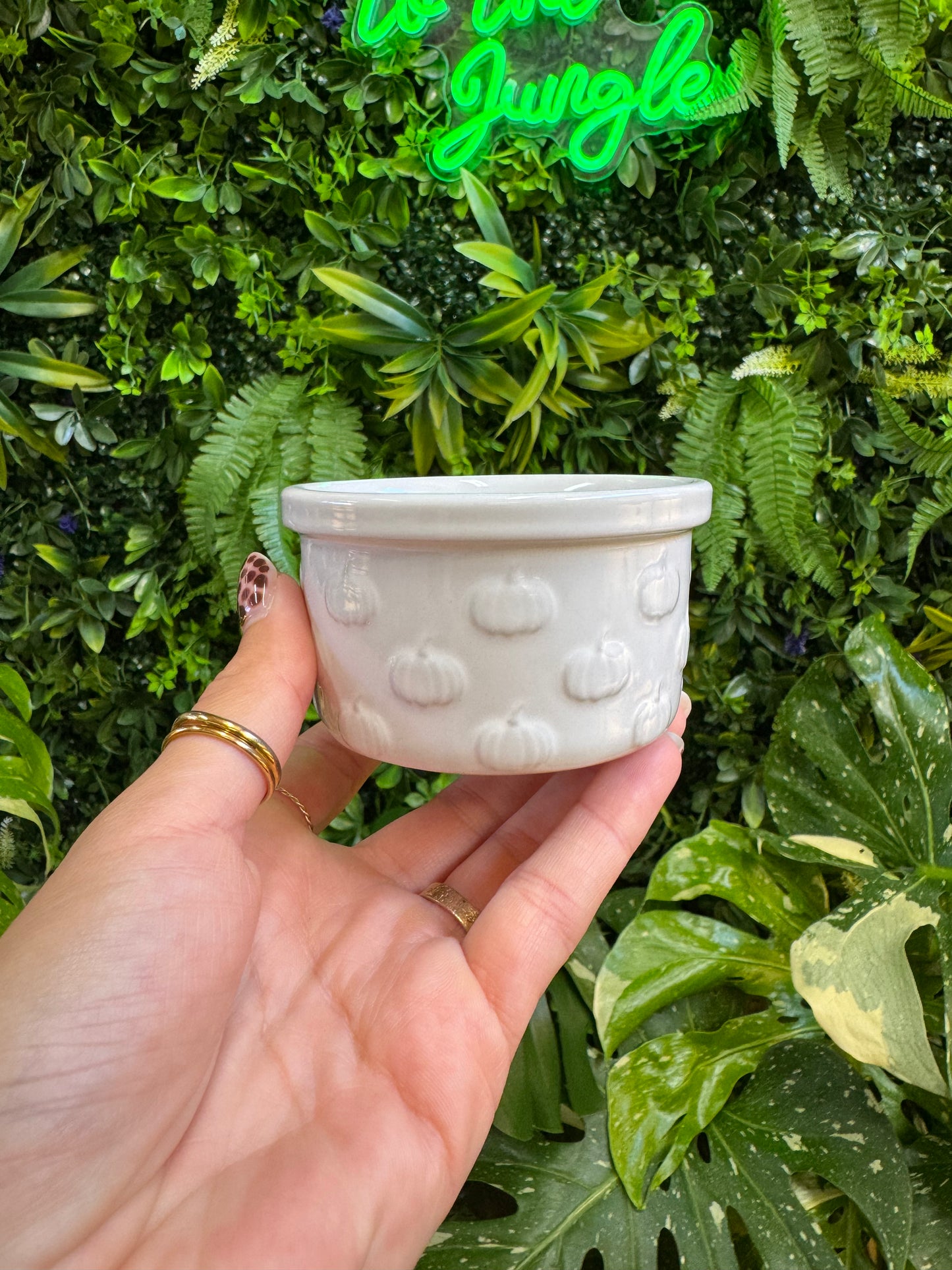 3" Ramekin Dish Planter