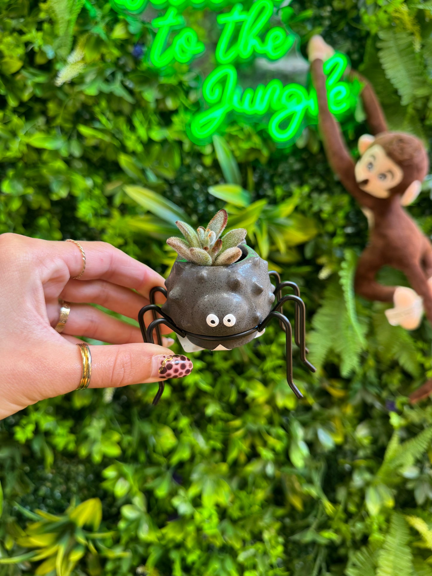 Silly Spider Pot