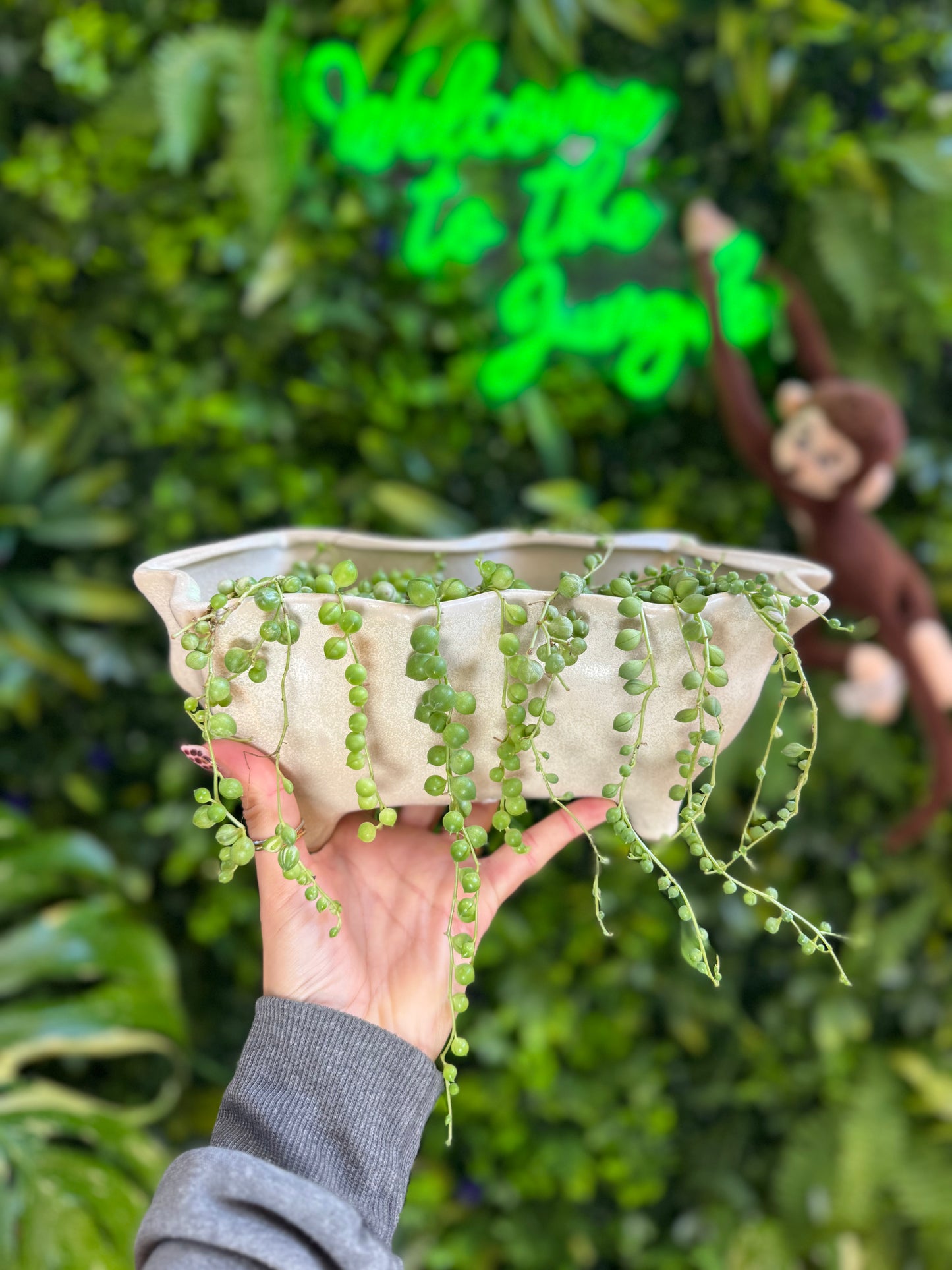 Glaslow Planter