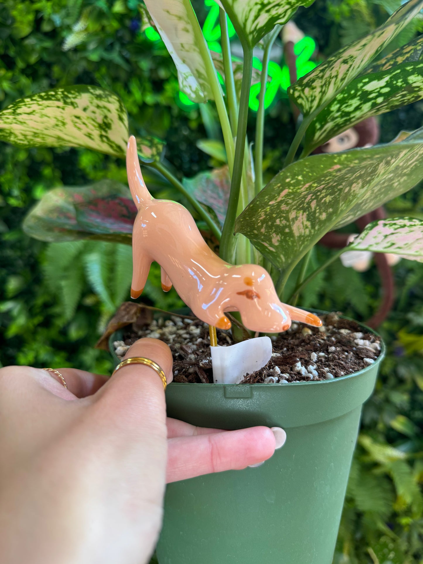 Playful Pups Plant Stick - Assorted