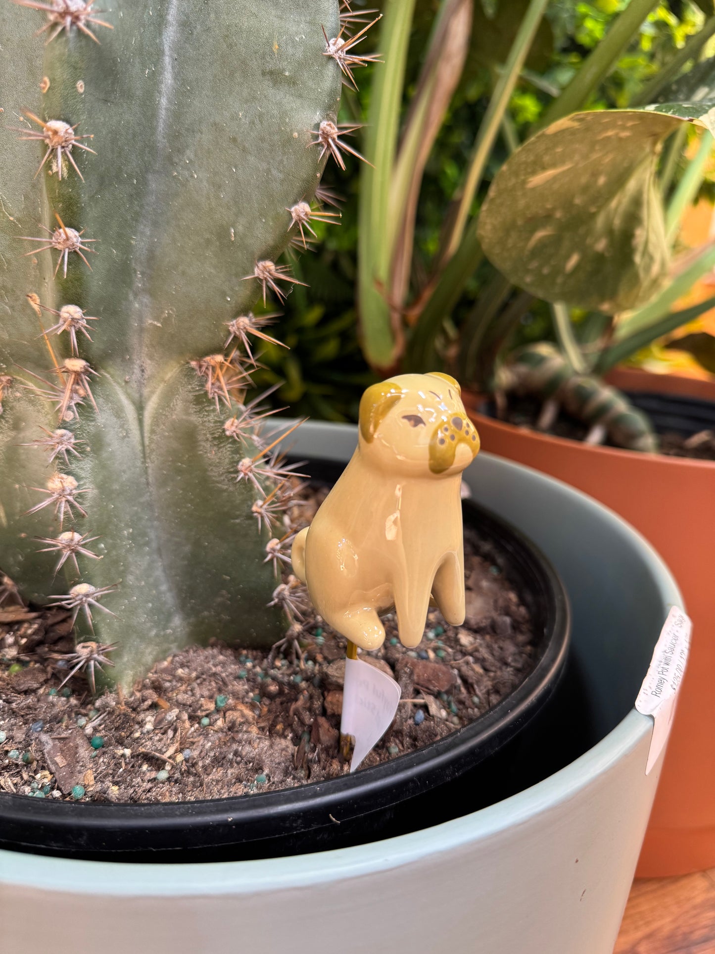 Playful Pups Plant Stick - Assorted