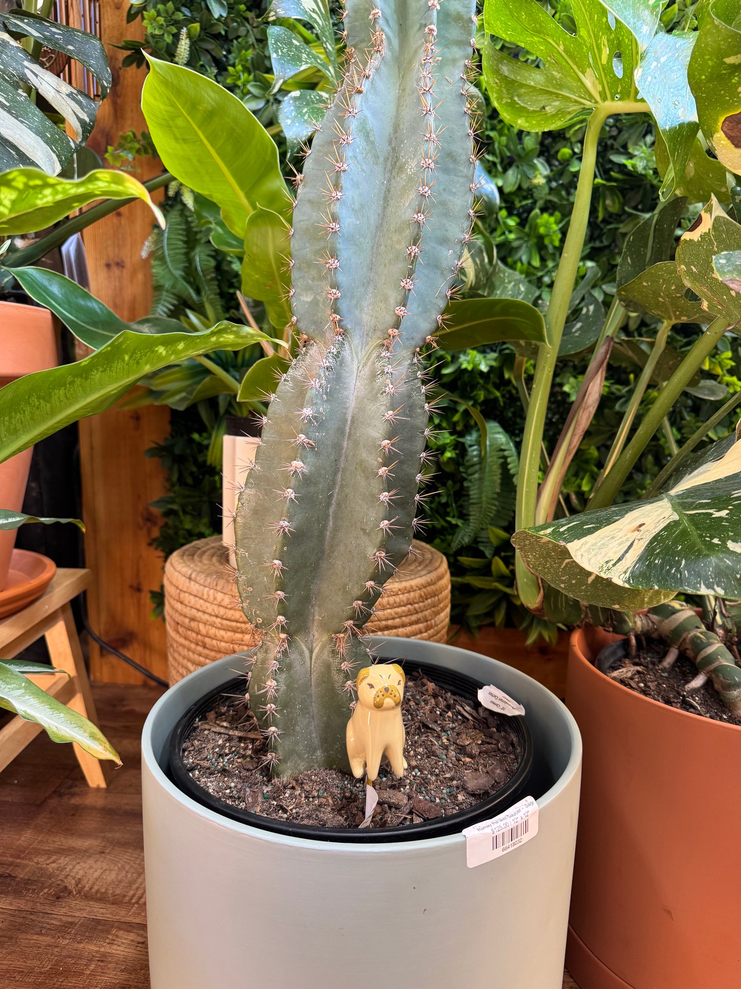 Playful Pups Plant Stick - Assorted