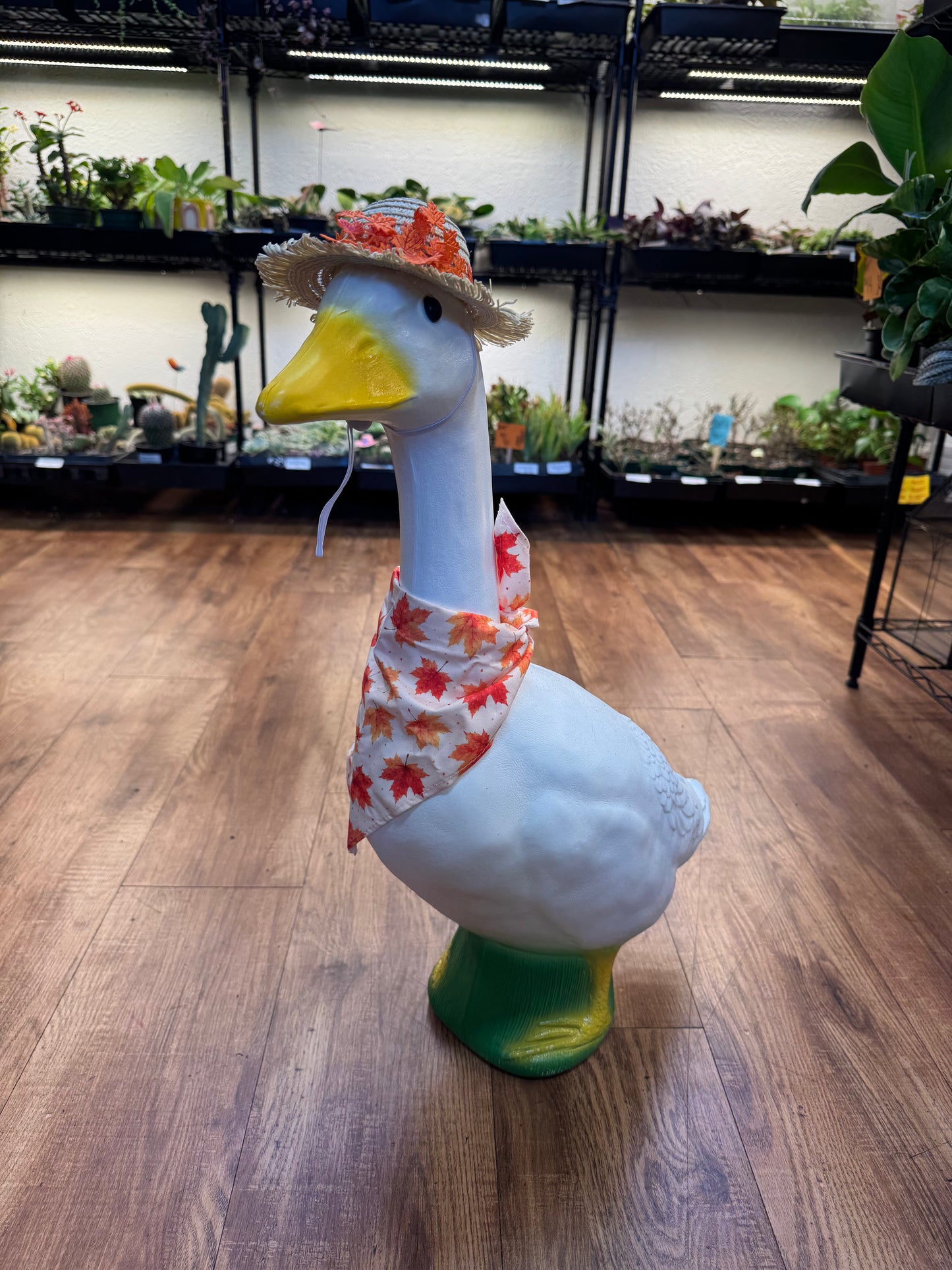Fall / Autumn Outfit for Porch Goose