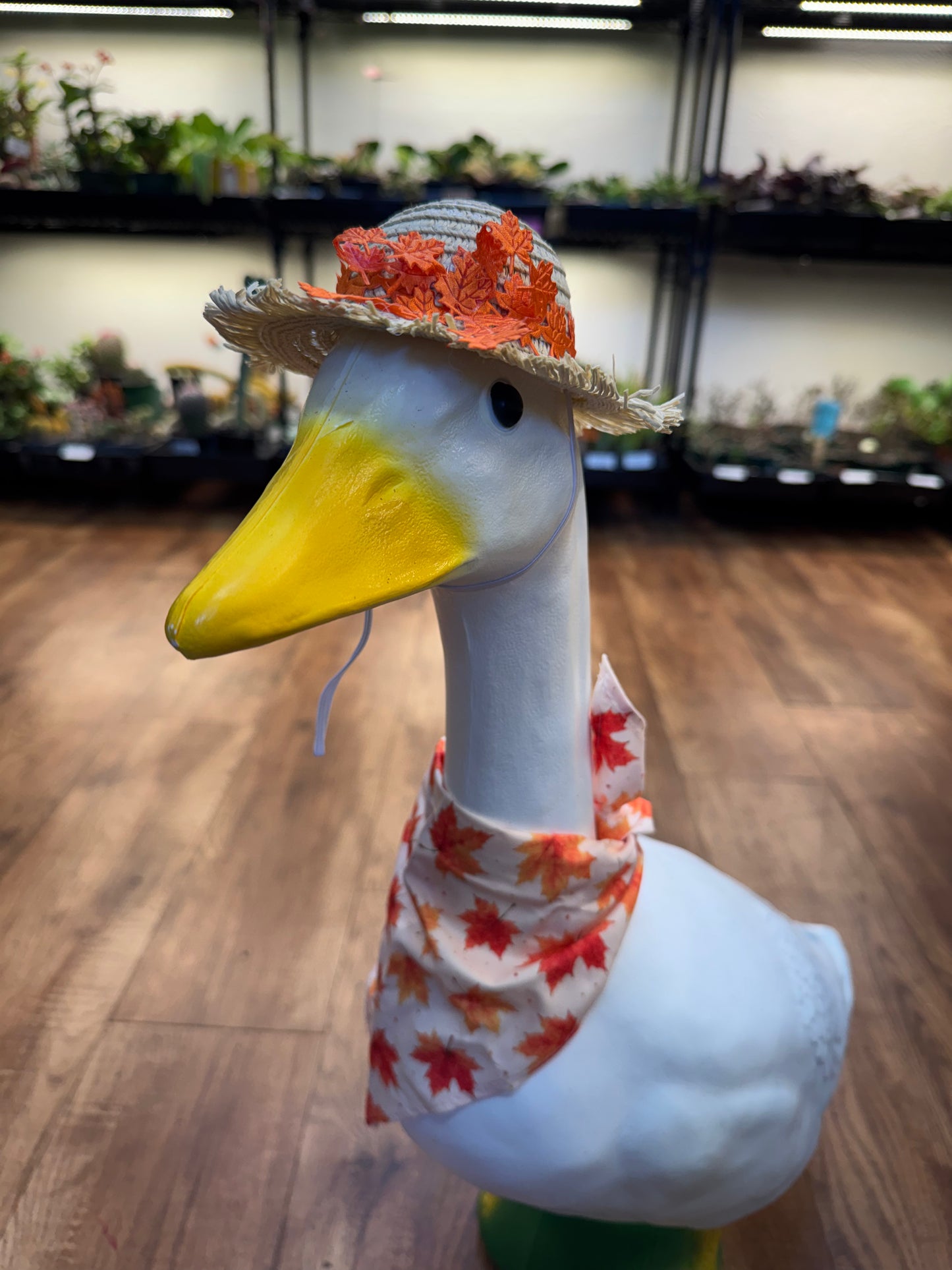 Fall / Autumn Outfit for Porch Goose
