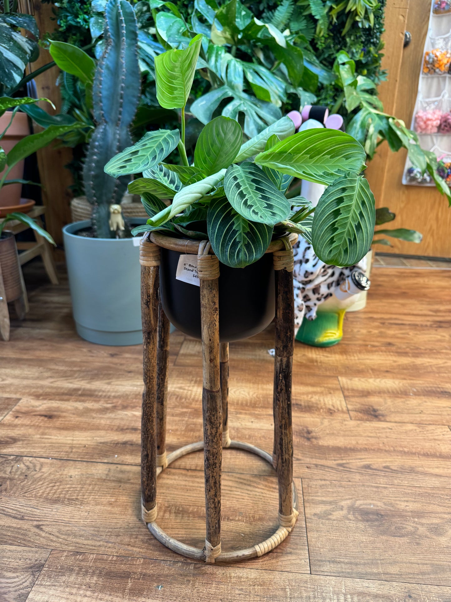 6" Boca Pot with Stand 10" x 18"