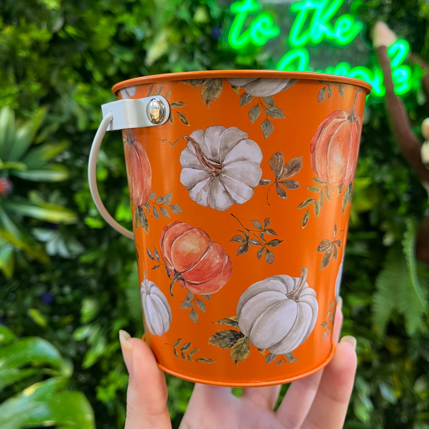 4" Autumn Bucket Pot