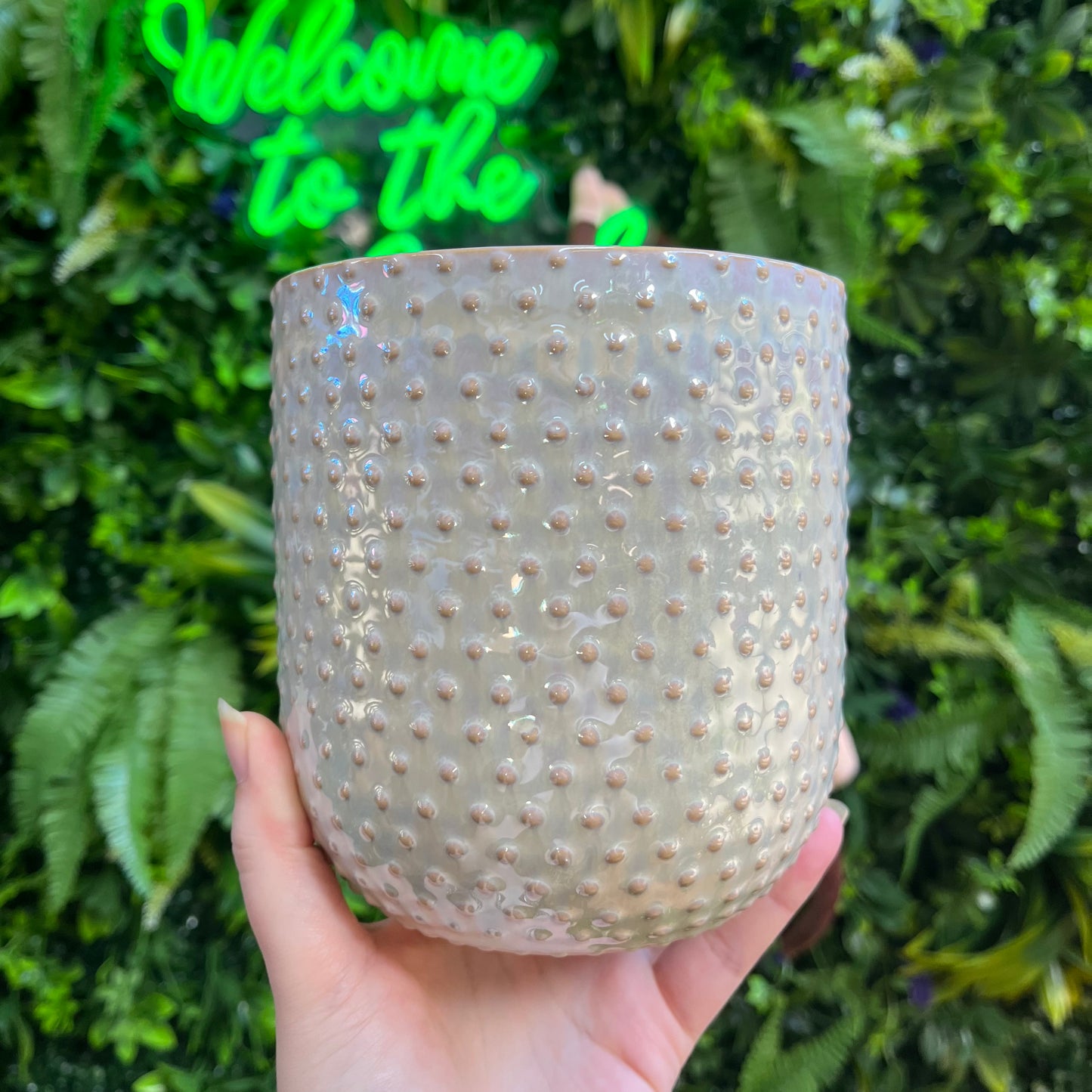 Everly Pot