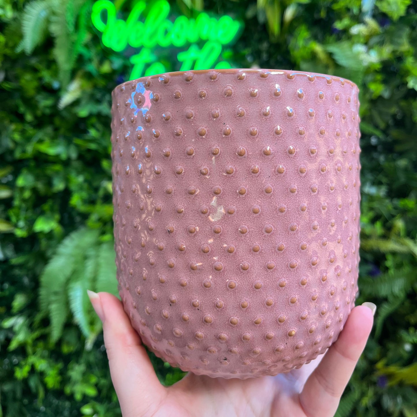 Everly Pot