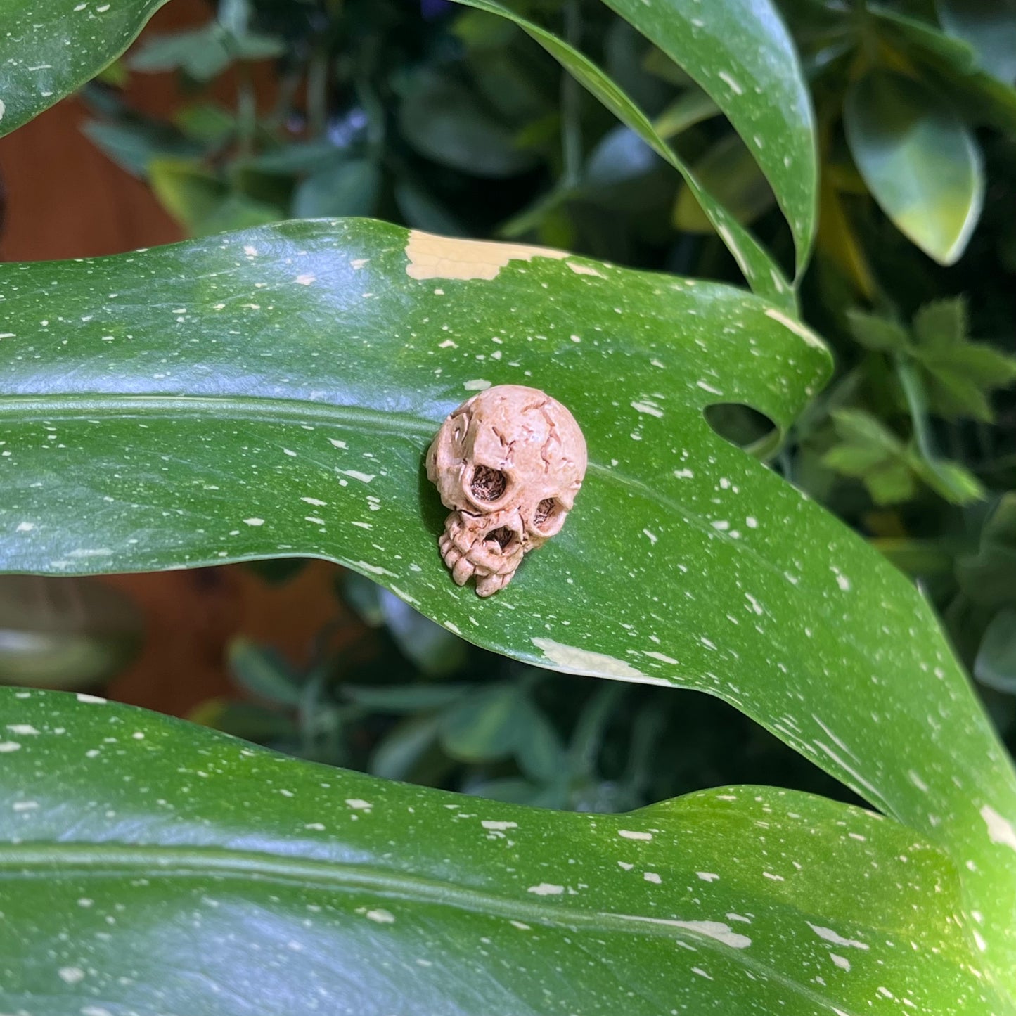 Skeleton Skull Plant Magnet