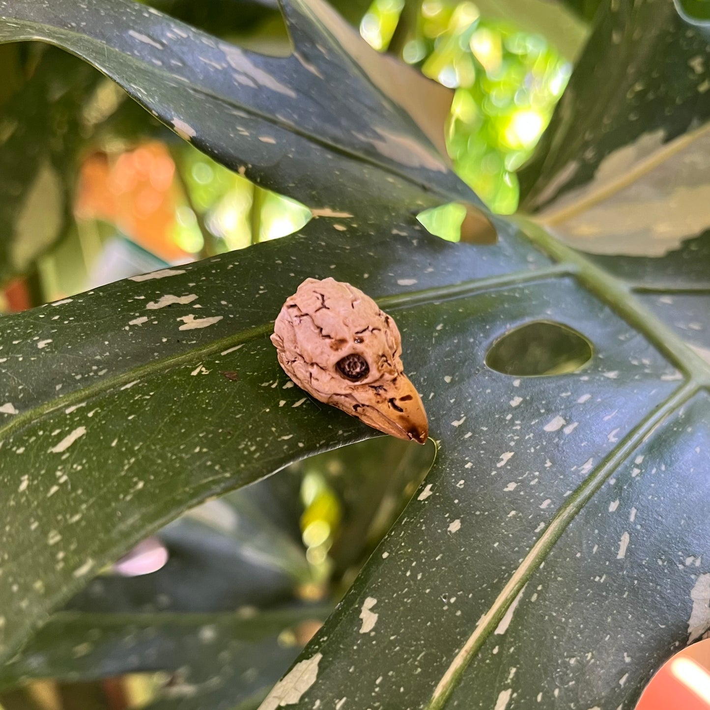 Animal Skull Plant Magnet