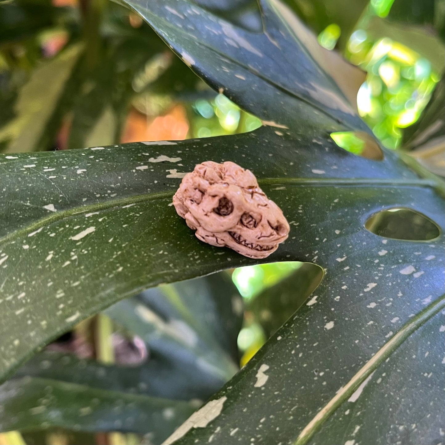 Animal Skull Plant Magnet